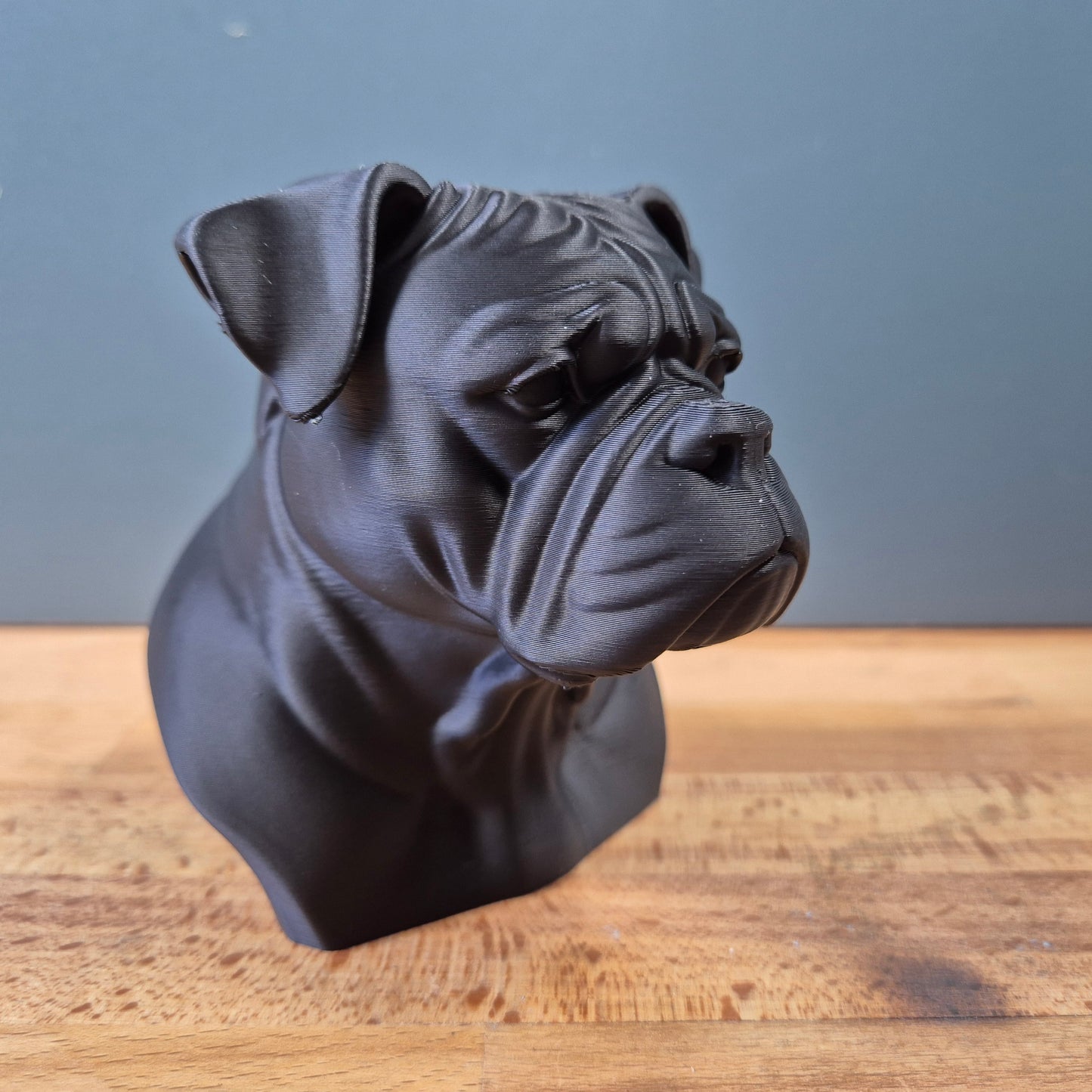 American Bulldog Bust