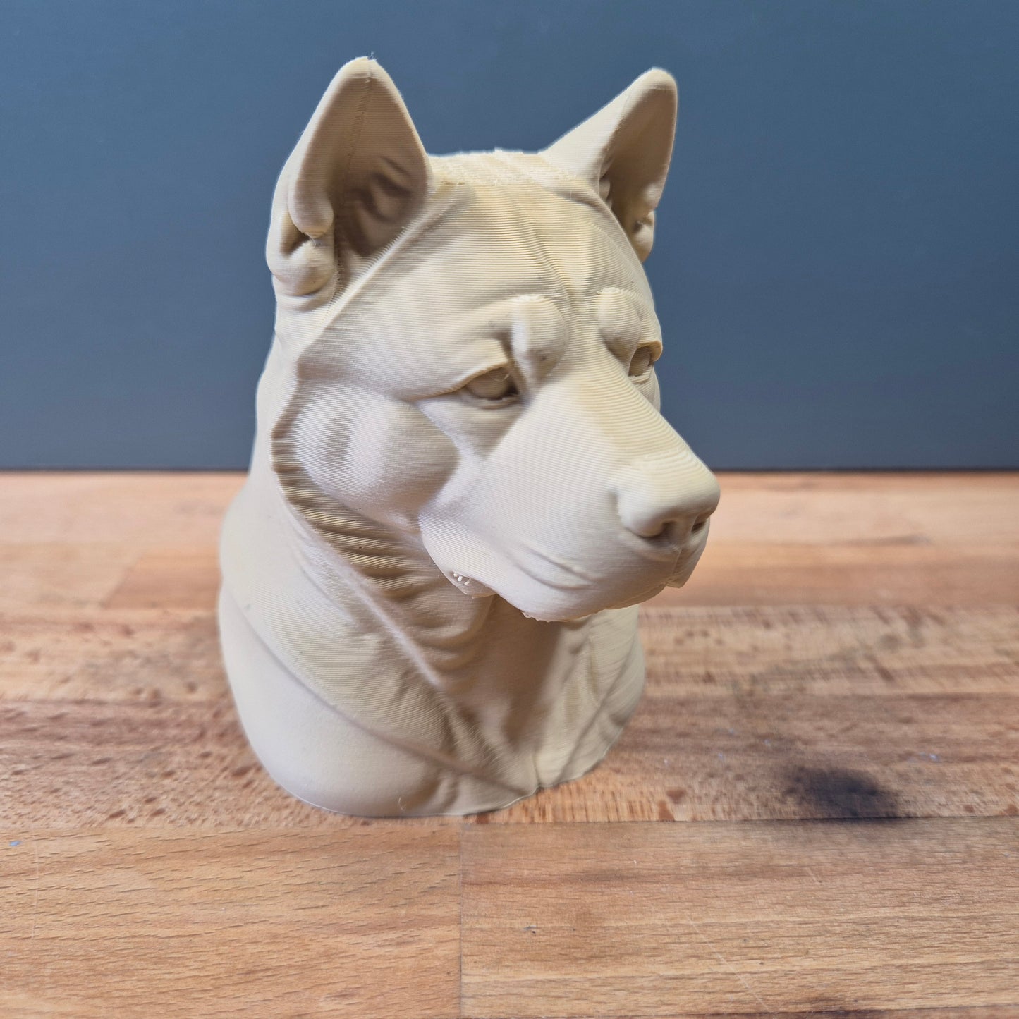 American Akita Bust
