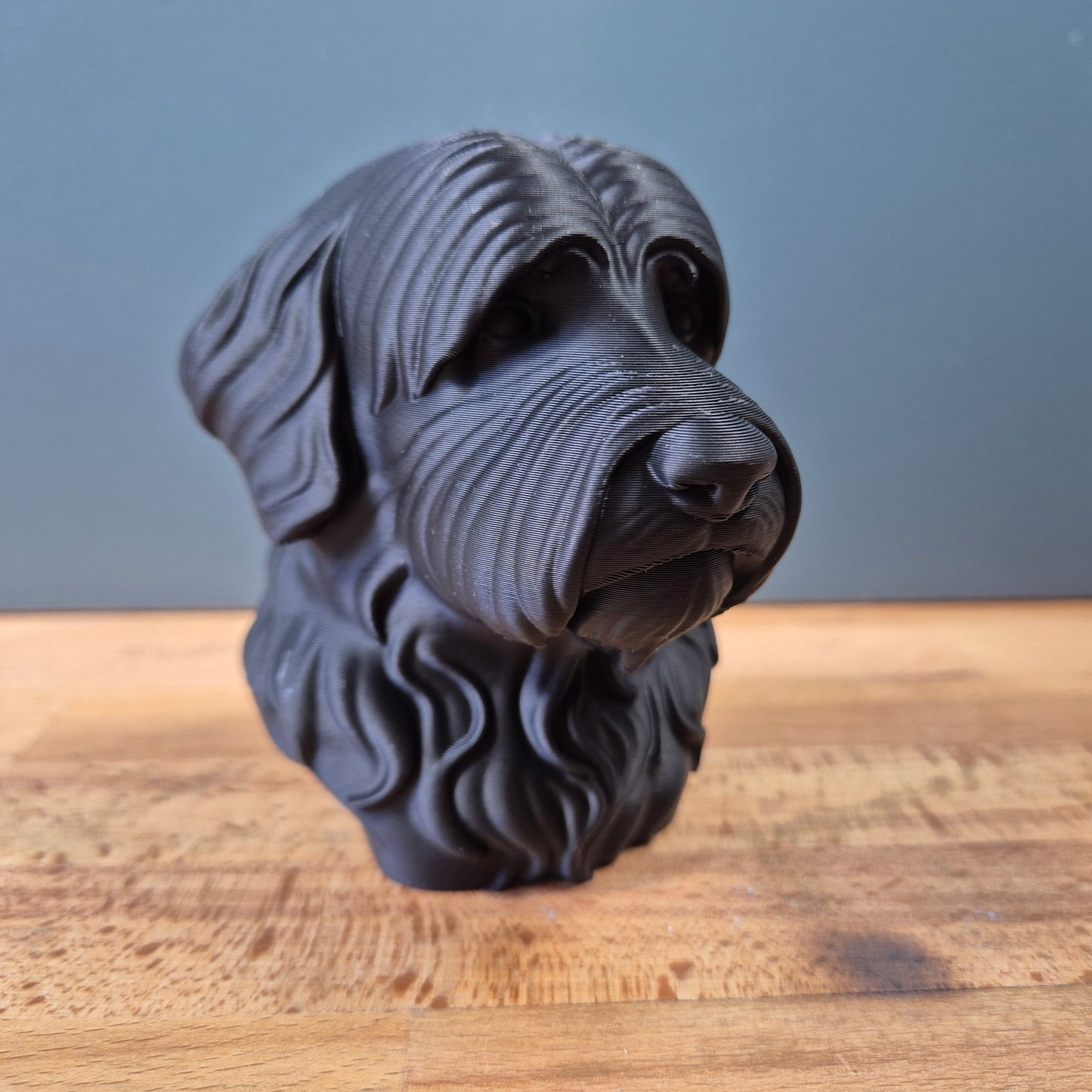 Bobtail (Schapendoes) Bust