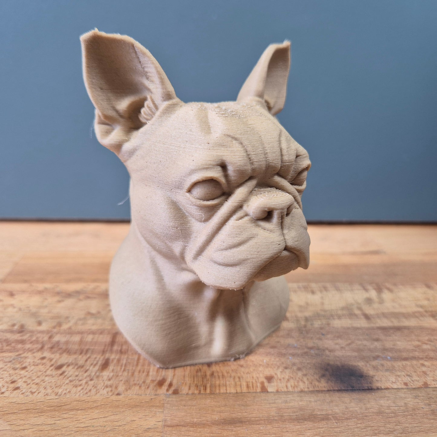 Boston Terrier Bust