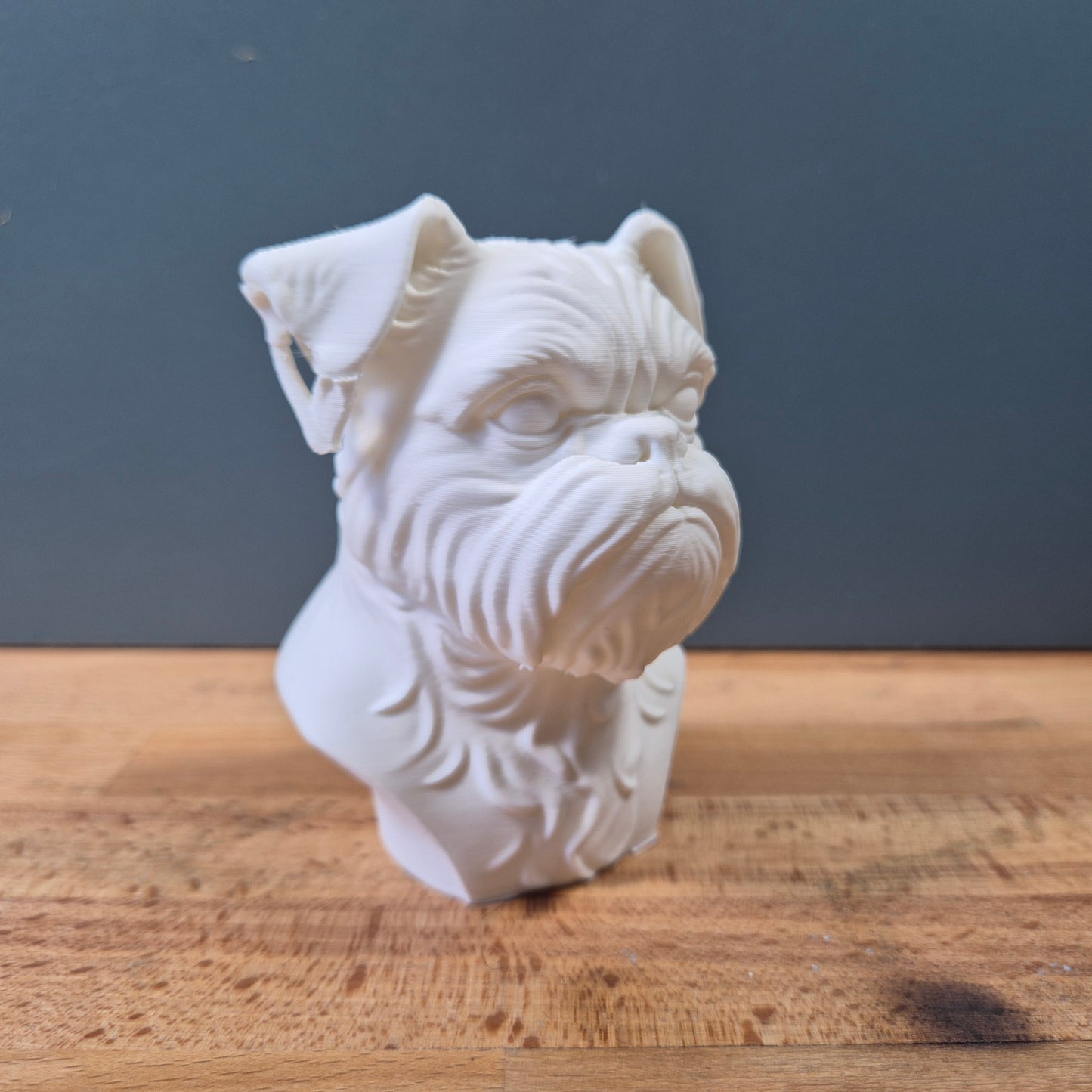 Brussels Griffon Bust
