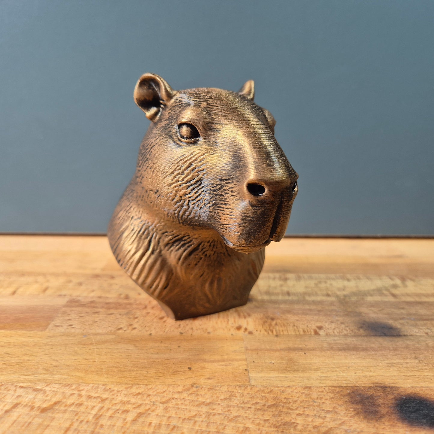 Cabybara Bust