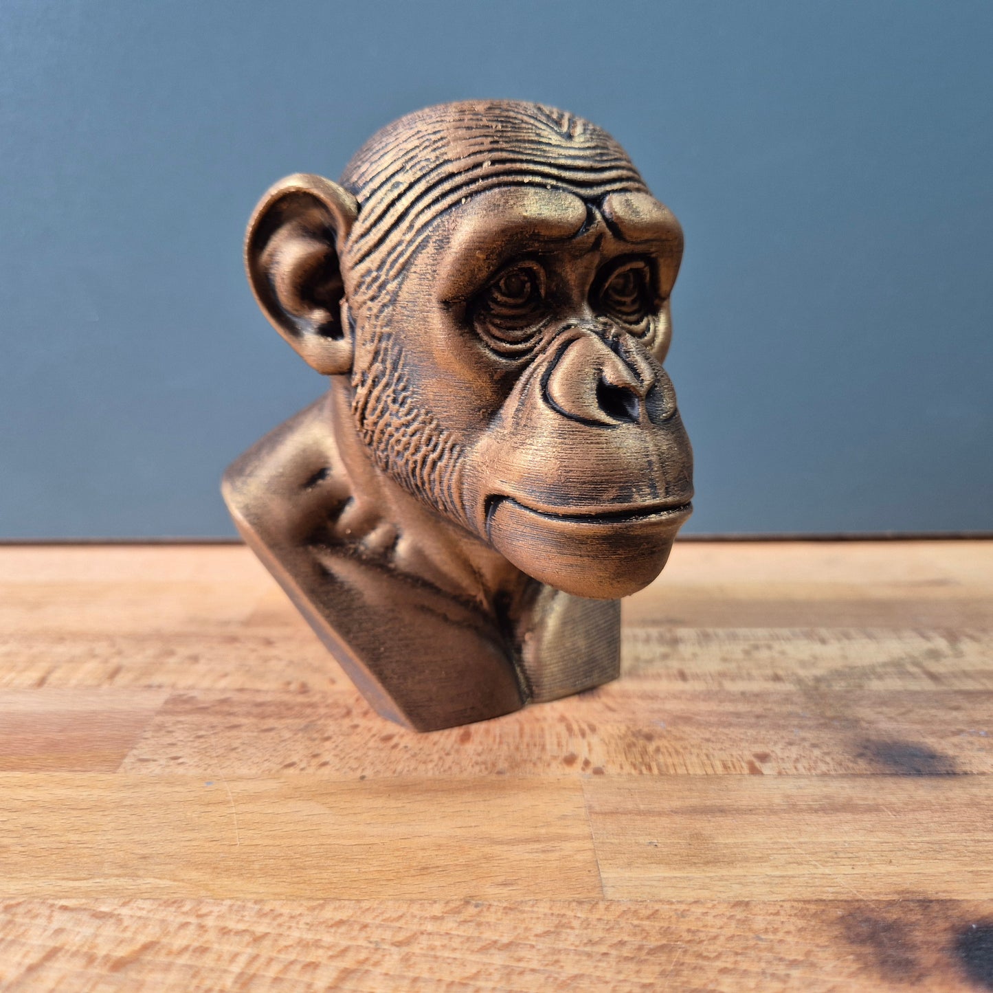 Chimpanzee Bust