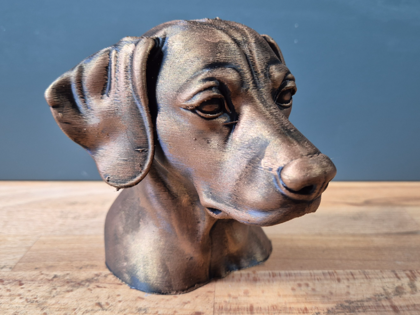 Dalmatian Bust
