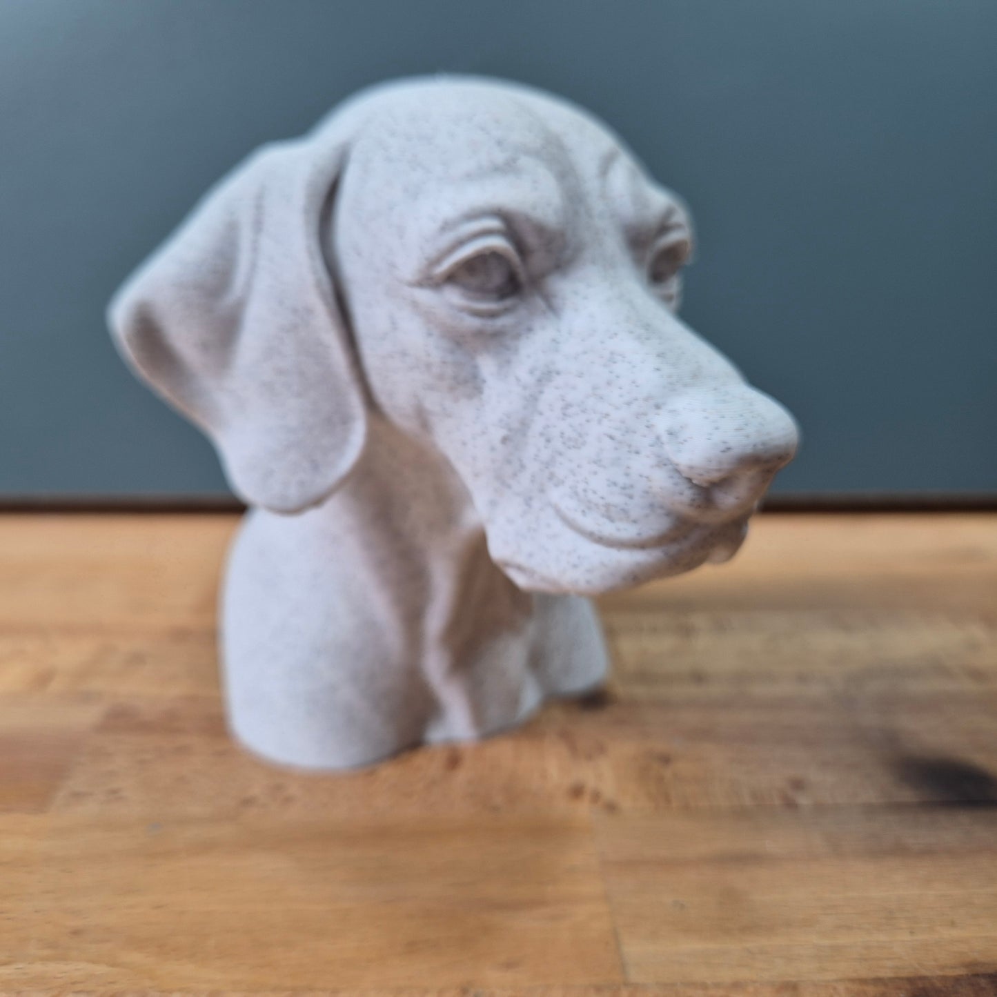 English Pointer Bust