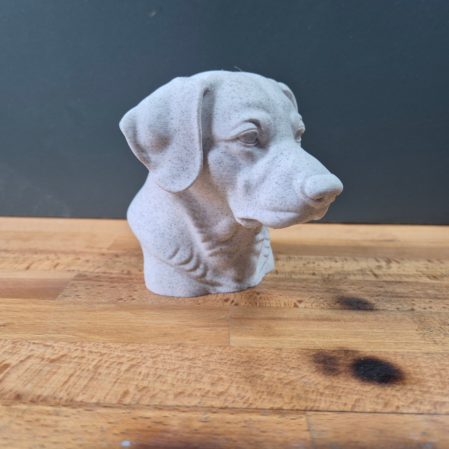 Entlebucher Mountain Dog Bust