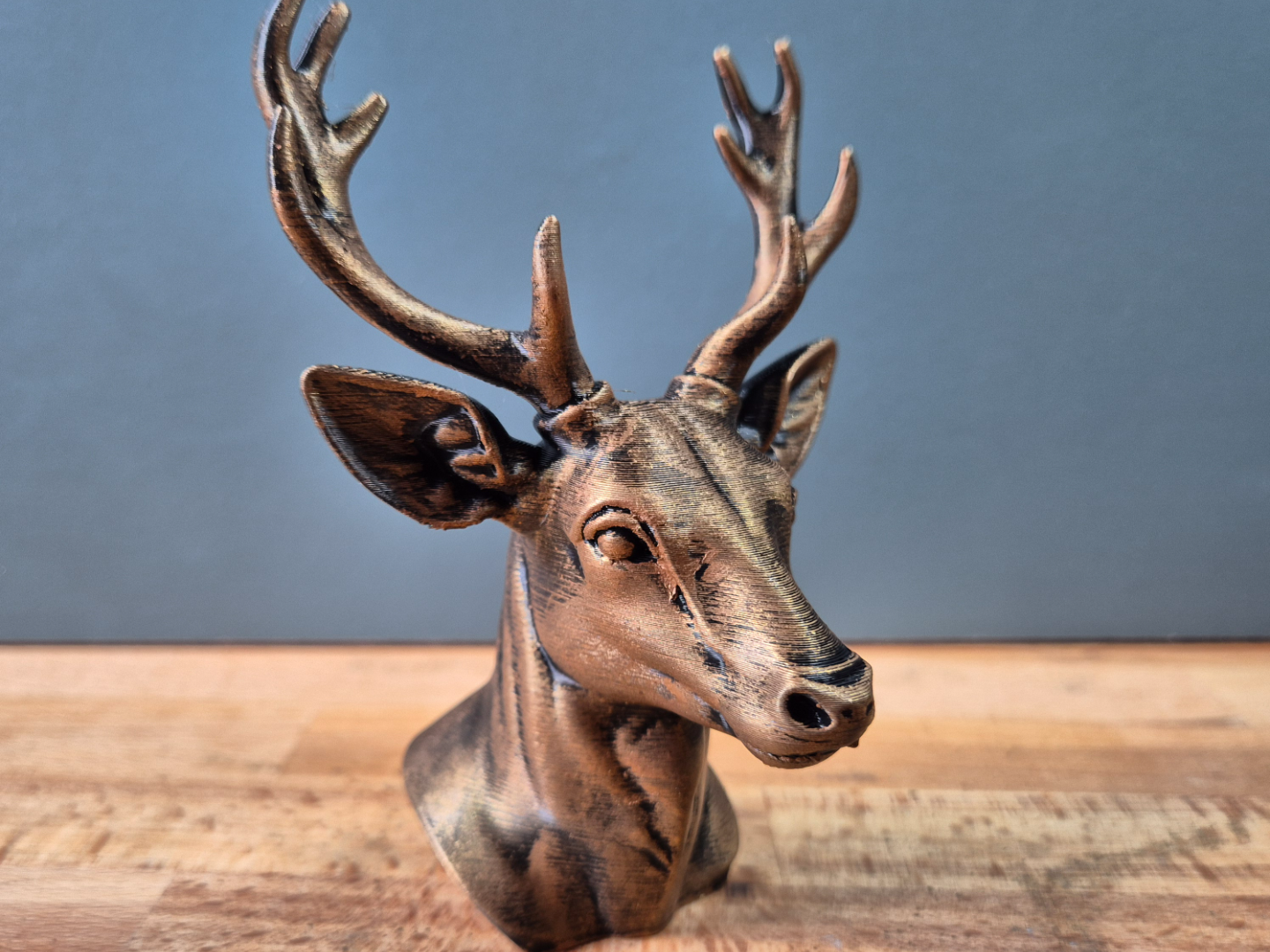 Fallow Deer Bust