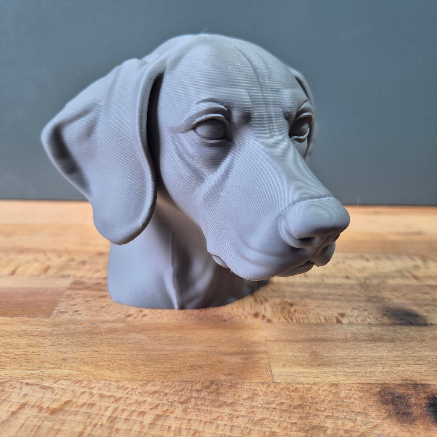 German Shorthaired Pointer Bust