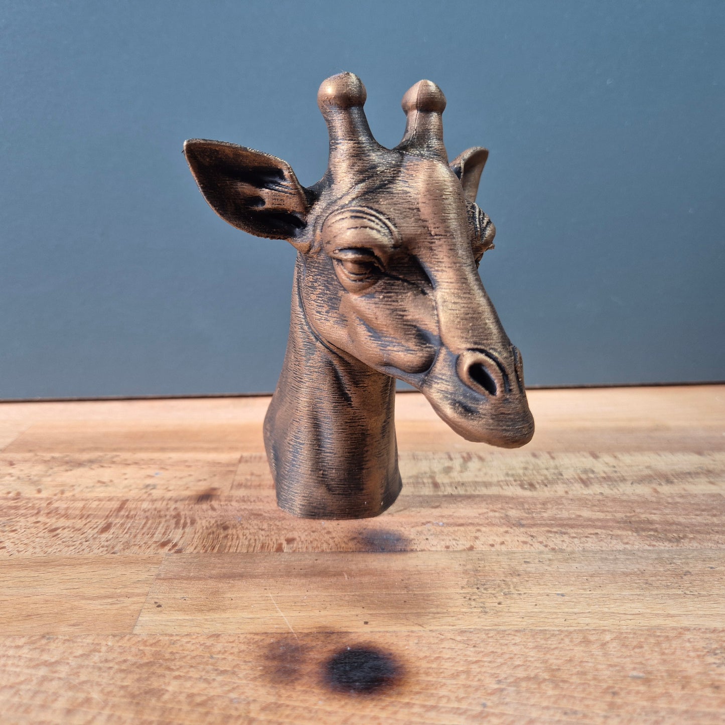 Giraffe Bust