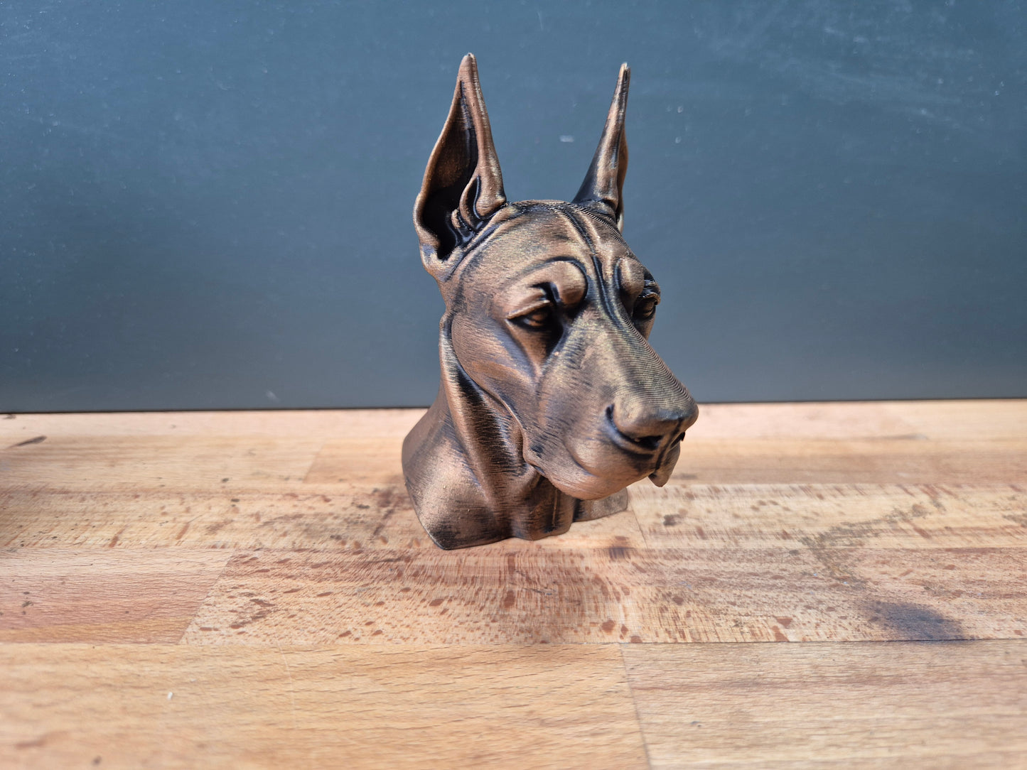 Great Dane Bust