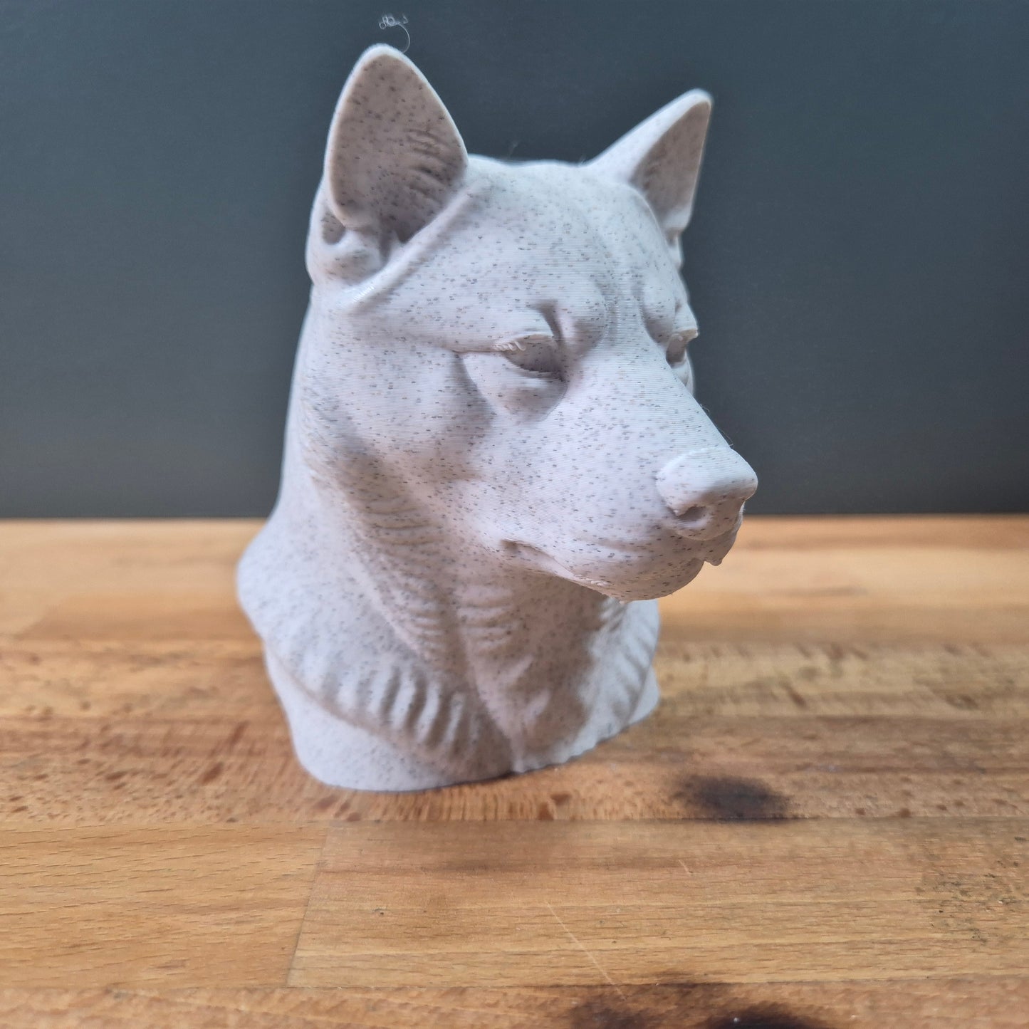Hokkaido Dog Bust