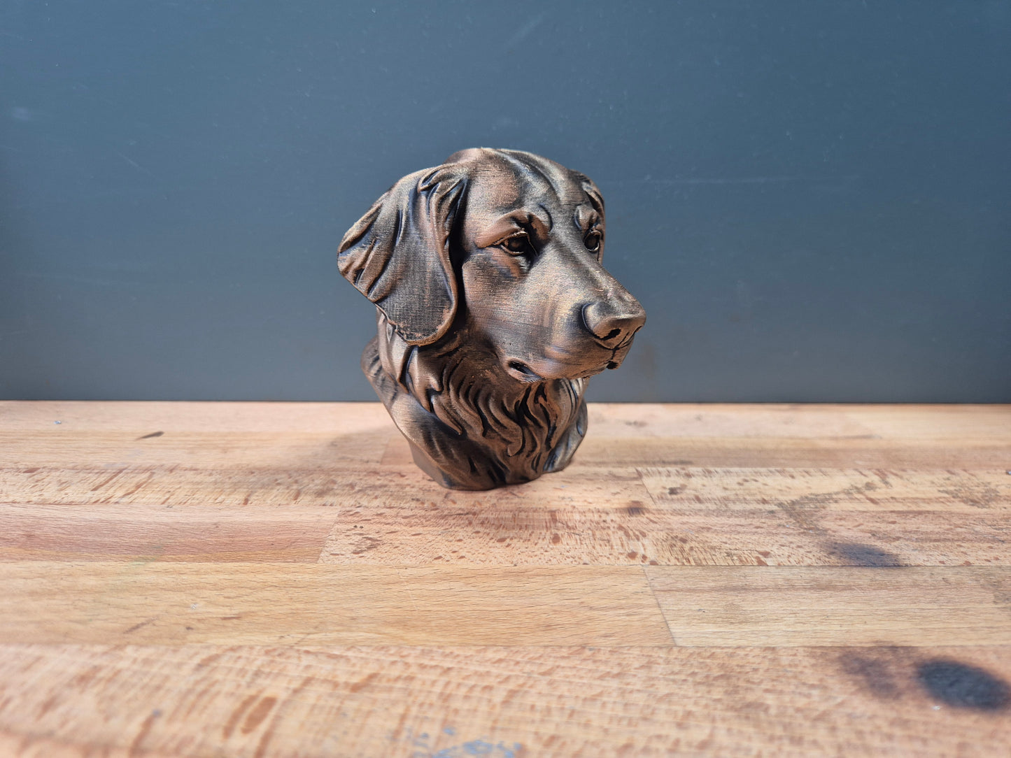Hovawart Bust