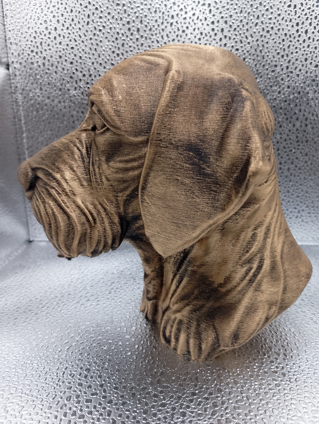 Wire Haired Vizsla Bust