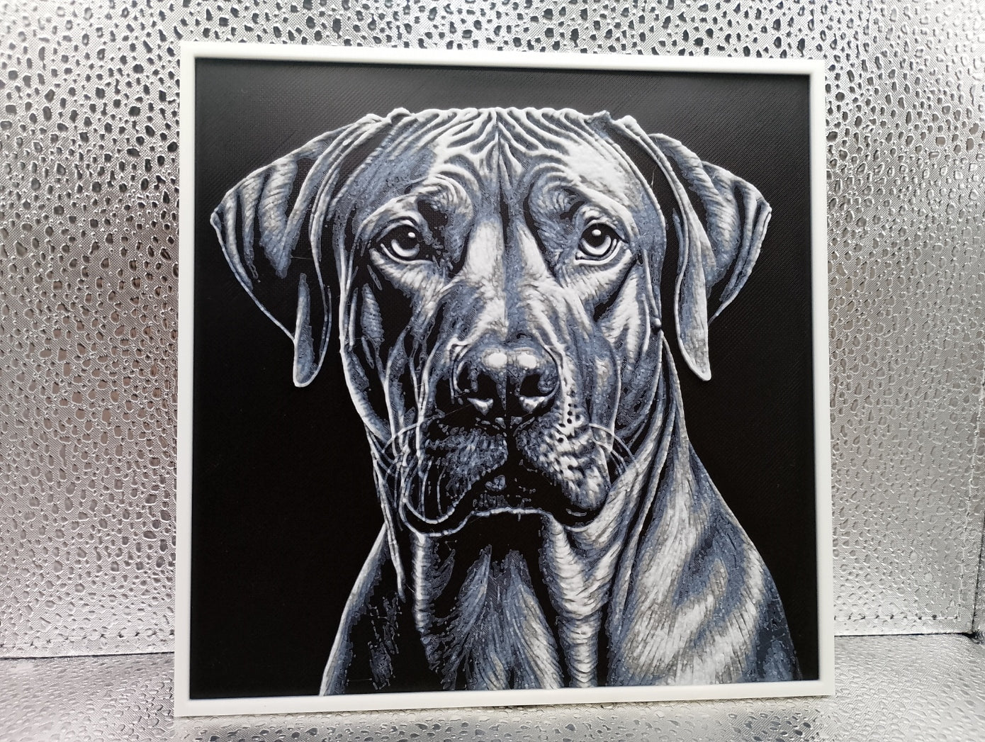 Rhodesian Ridgeback – Hueforge