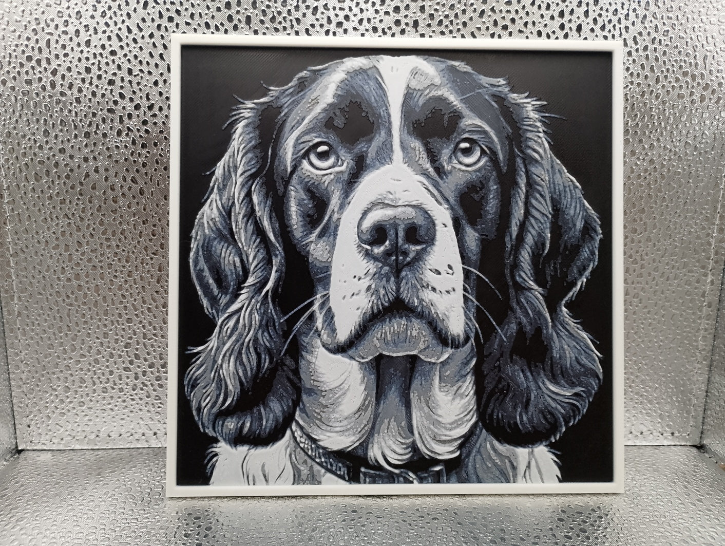 Springer Spaniel – Hueforge