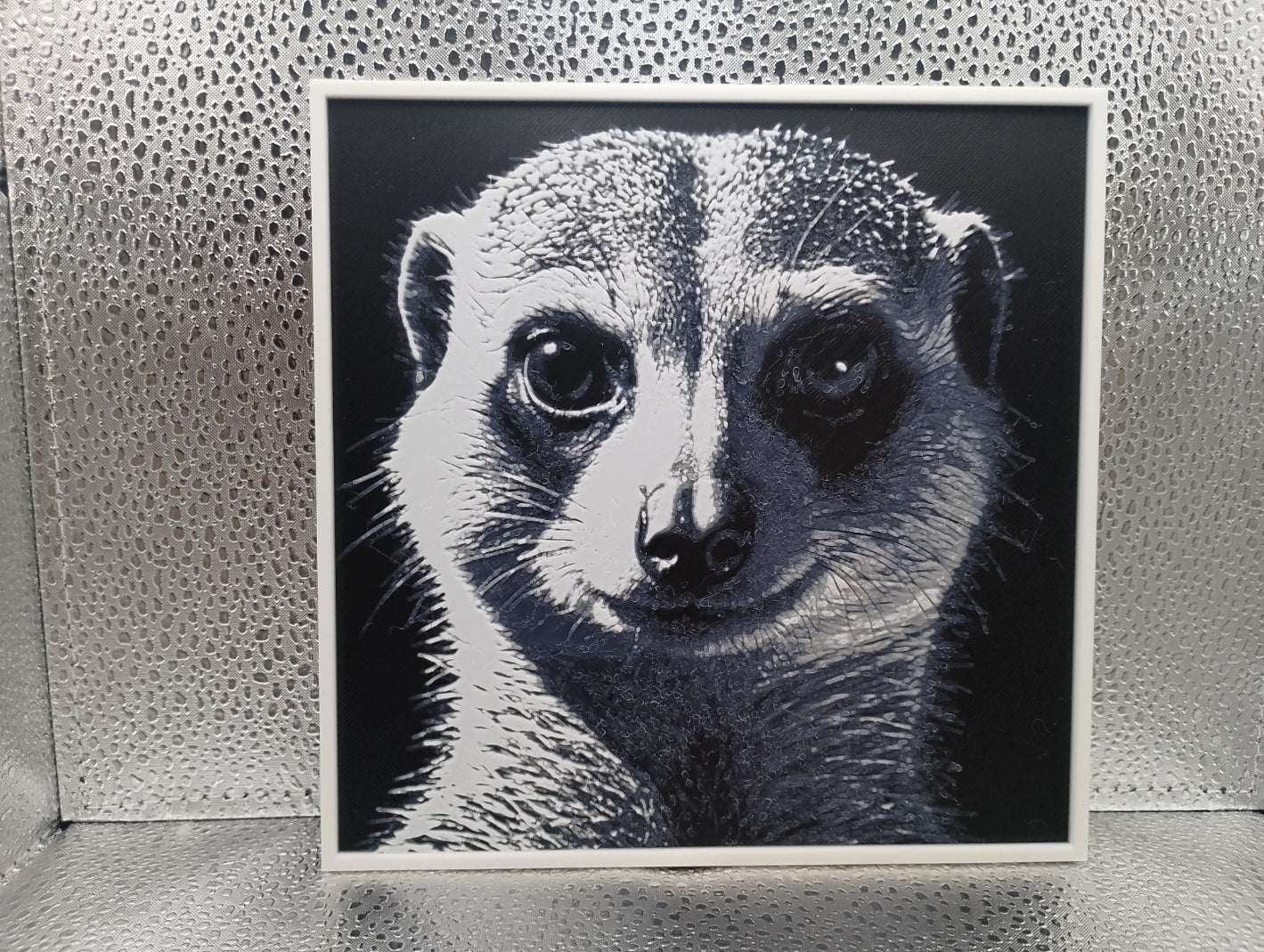 Meerkat – Hueforge