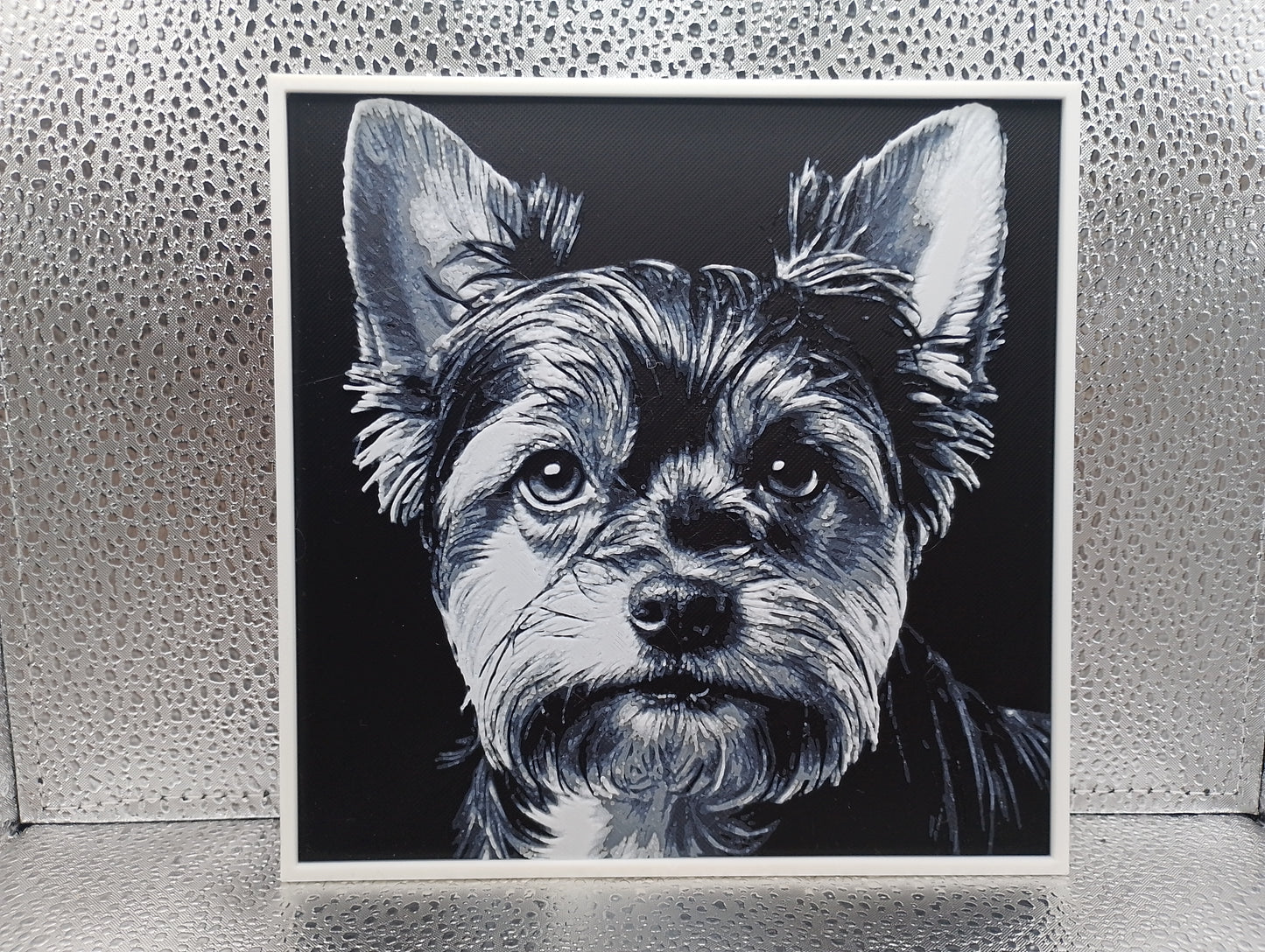 Biewer Yorkshire Terrier - Hueforge