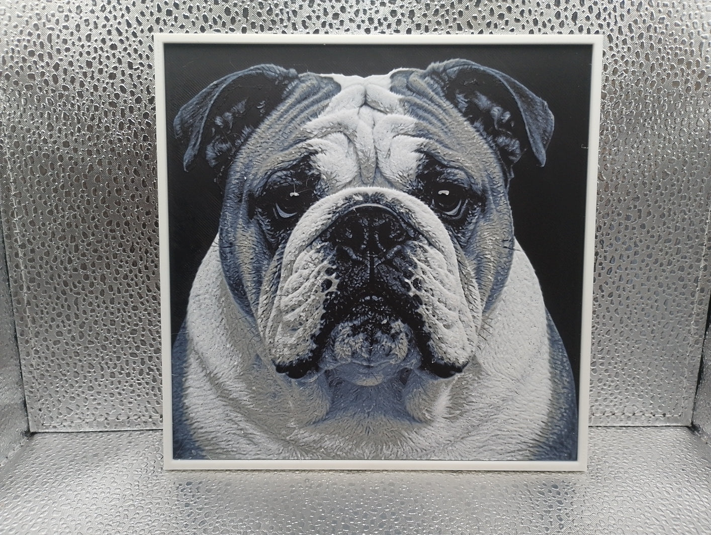English Bulldog - Hueforge