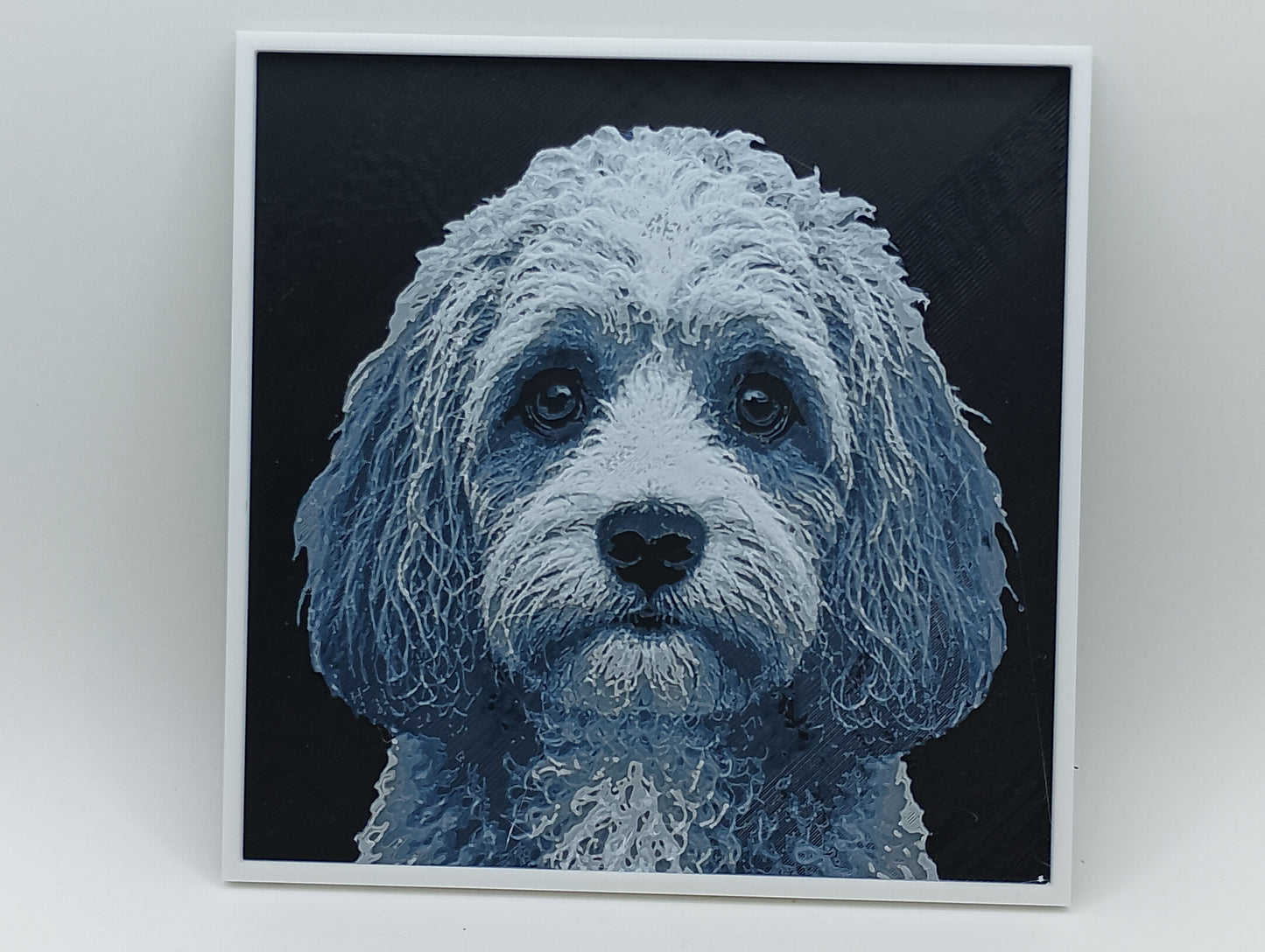 Cavapoo - Hueforge