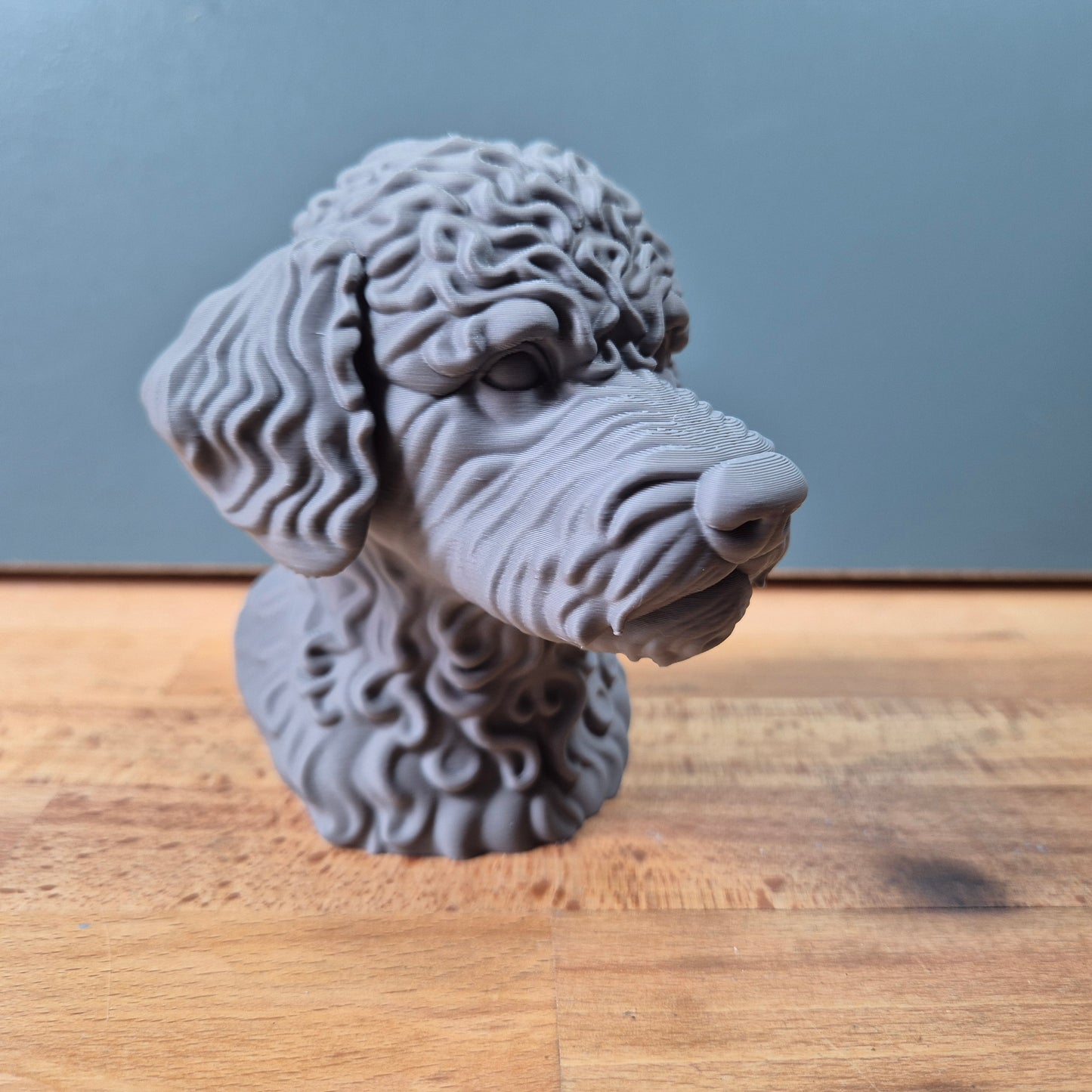 Lagotto Romagnolo Bust
