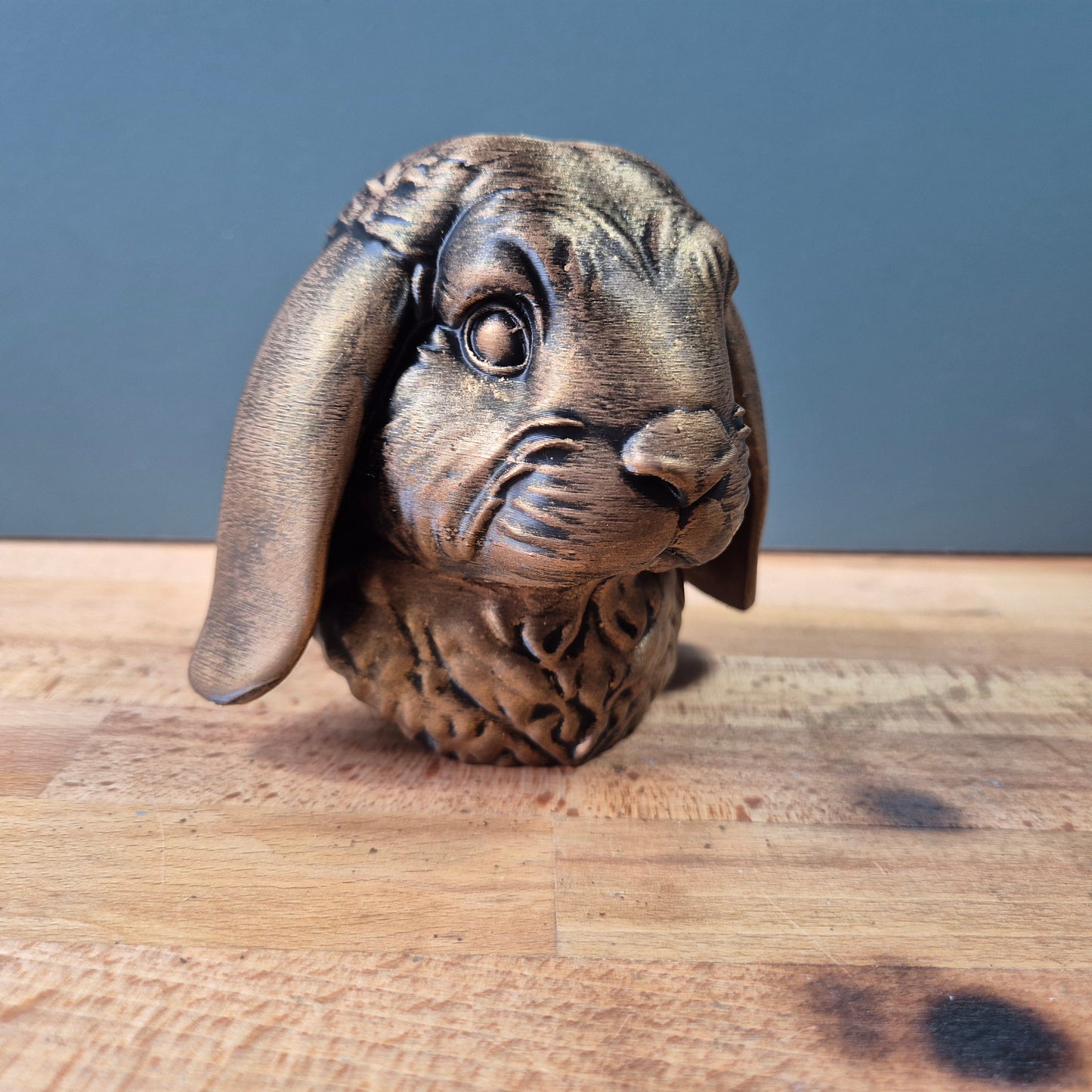 Lop Rabbit Bust