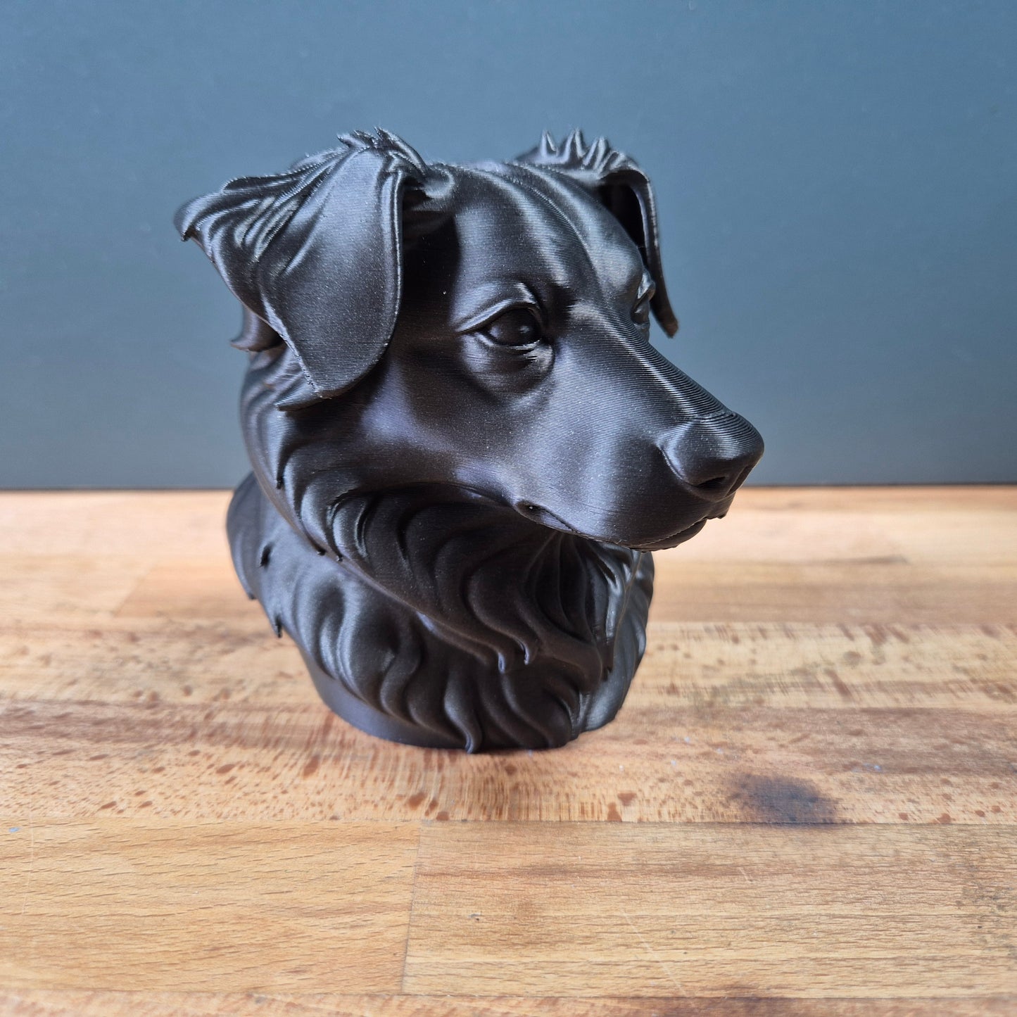 Miniature American Shepherd Bust
