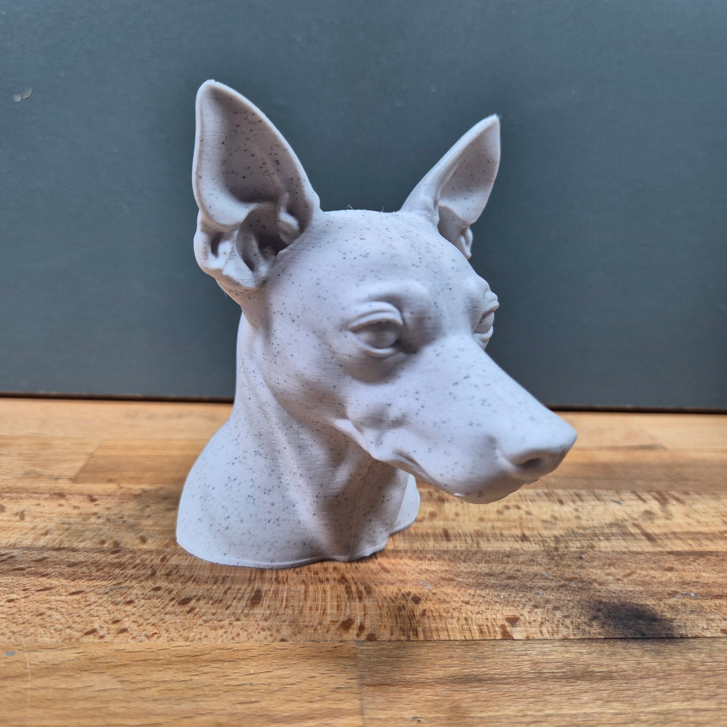 Miniature Pinscher Bust