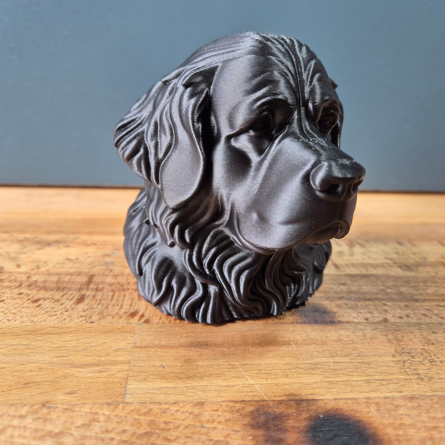 Newfoundland Dog Bust