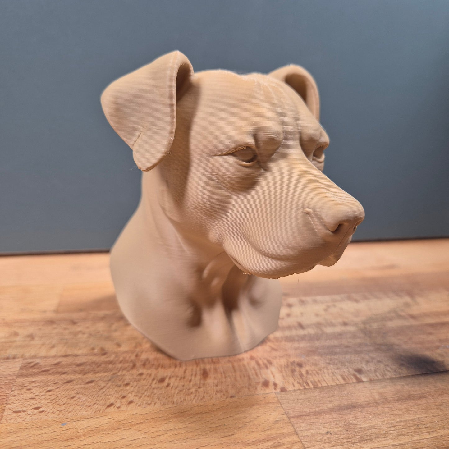 Pitbull Terrier Bust