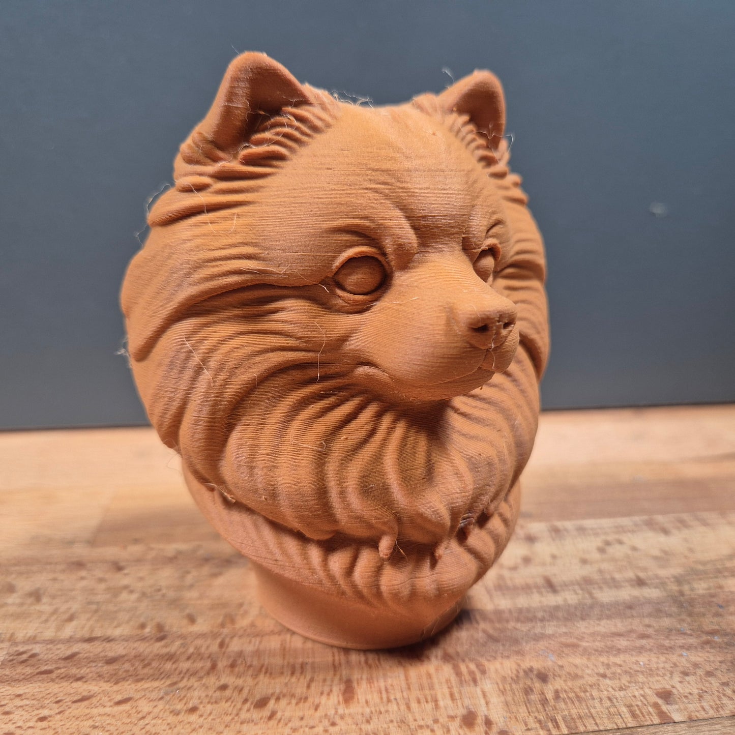 Pomeranian Dog Bust