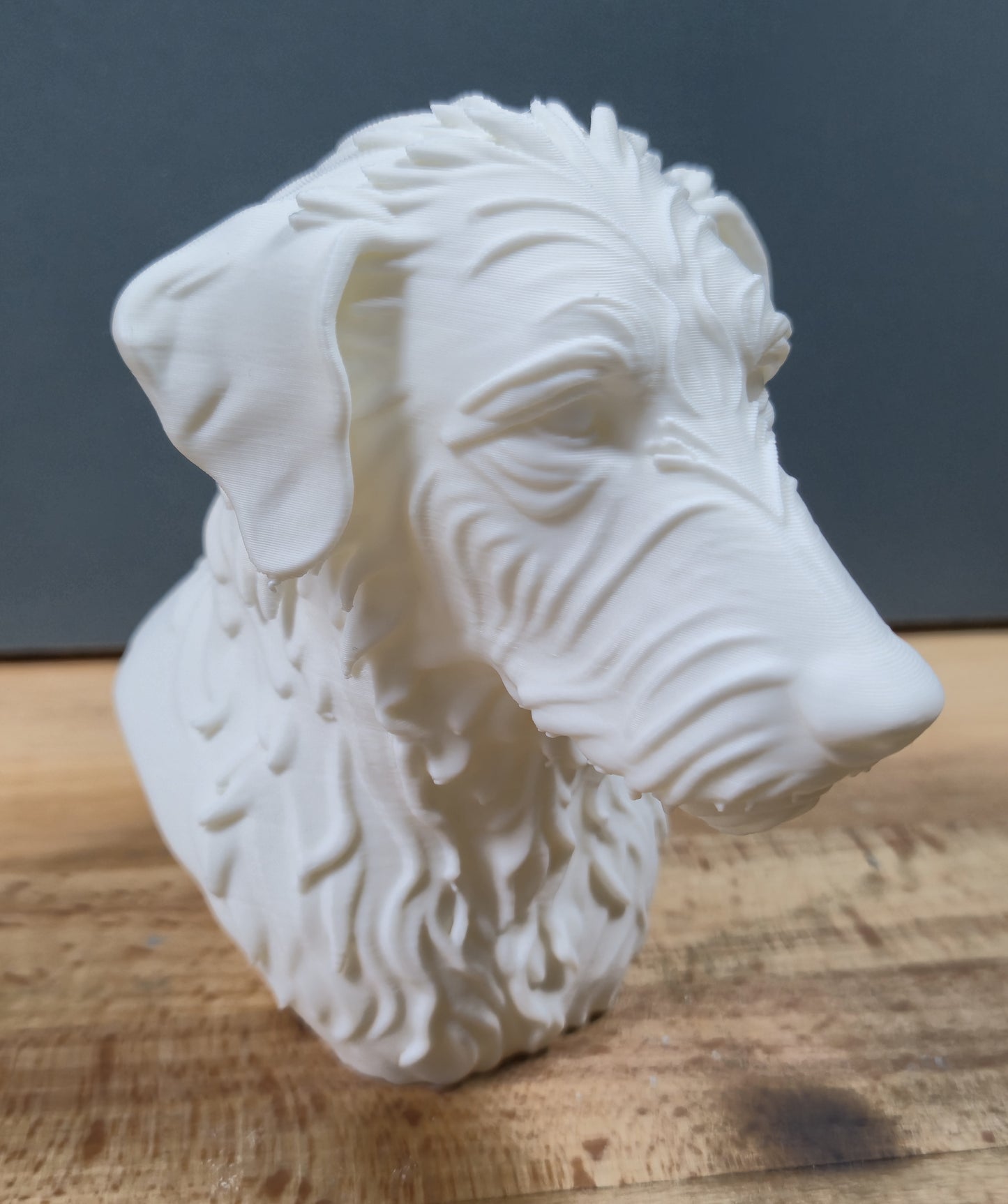 Rough Hair Lurcher Bust