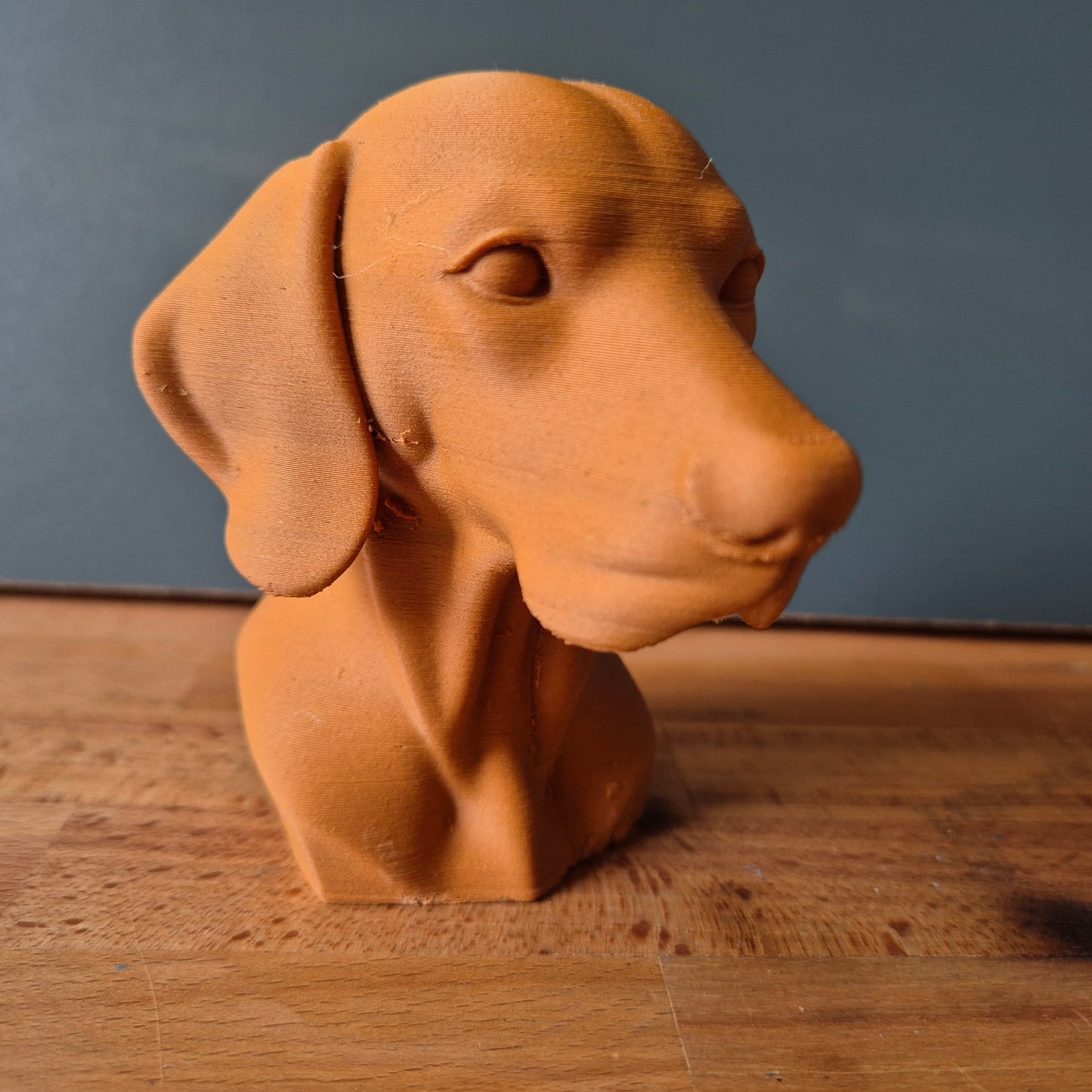 Vizsla Dog Bust