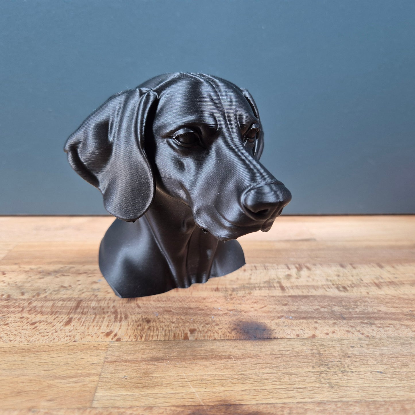 Weimaraner Bust