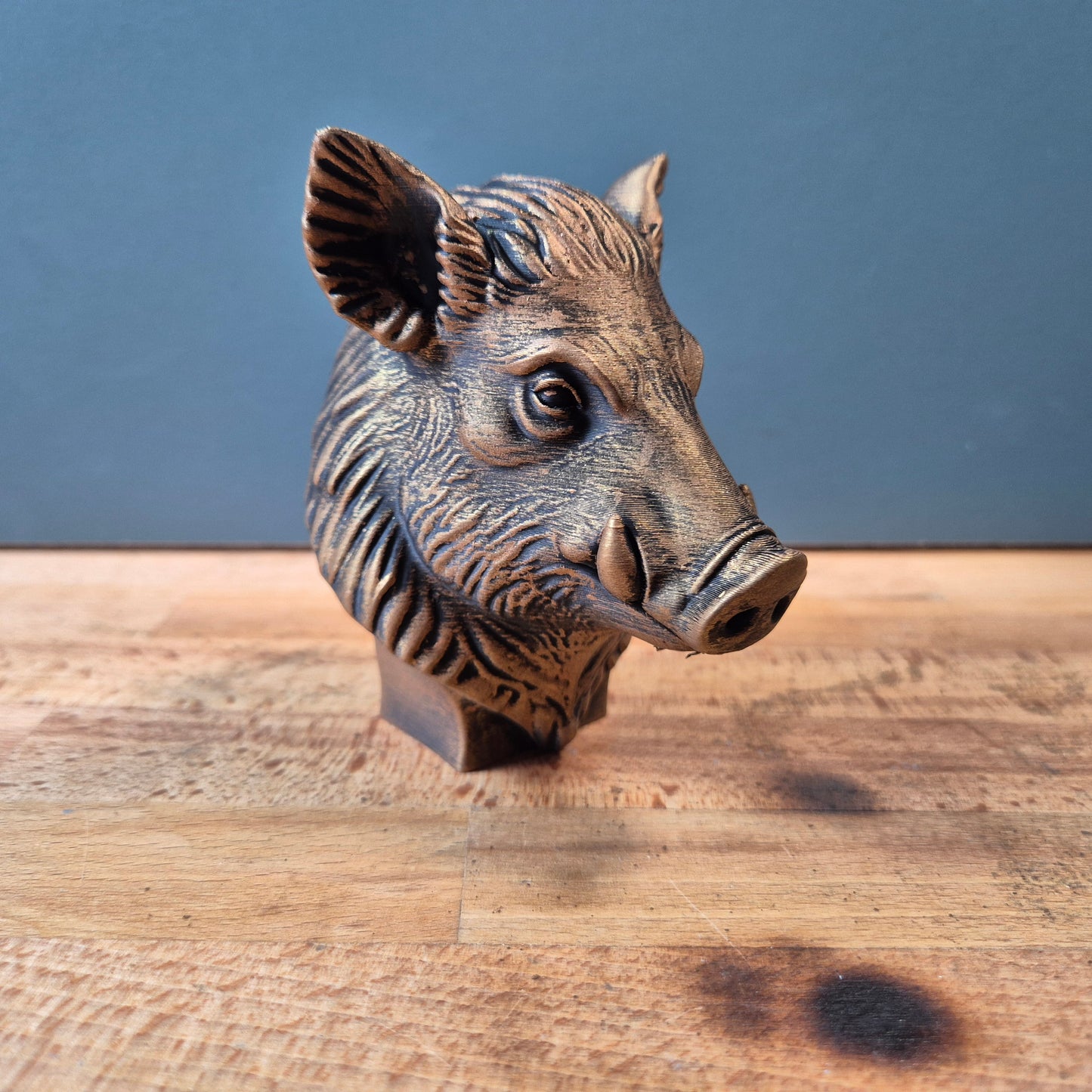 Wild Boar Bust