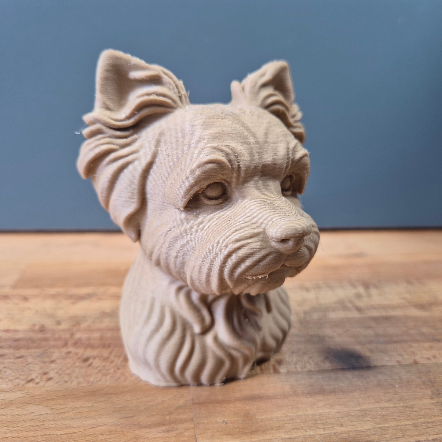 Yorkiepoo Bust