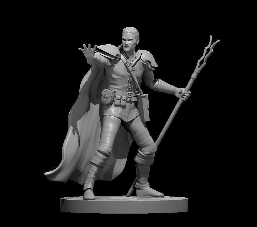 Dungeons & Dragons Human Wizard with Bat Familiar Miniature