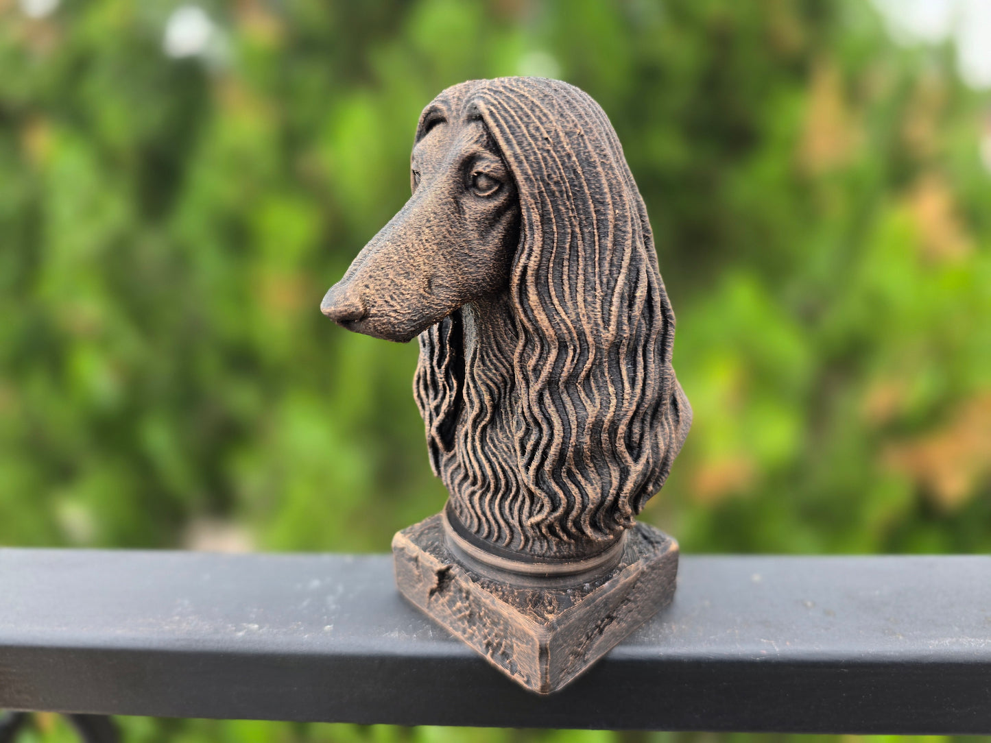 Afghan Hound Bust