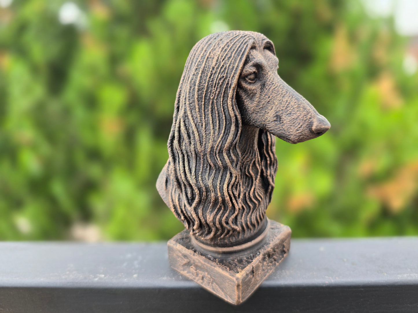 Afghan Hound Bust