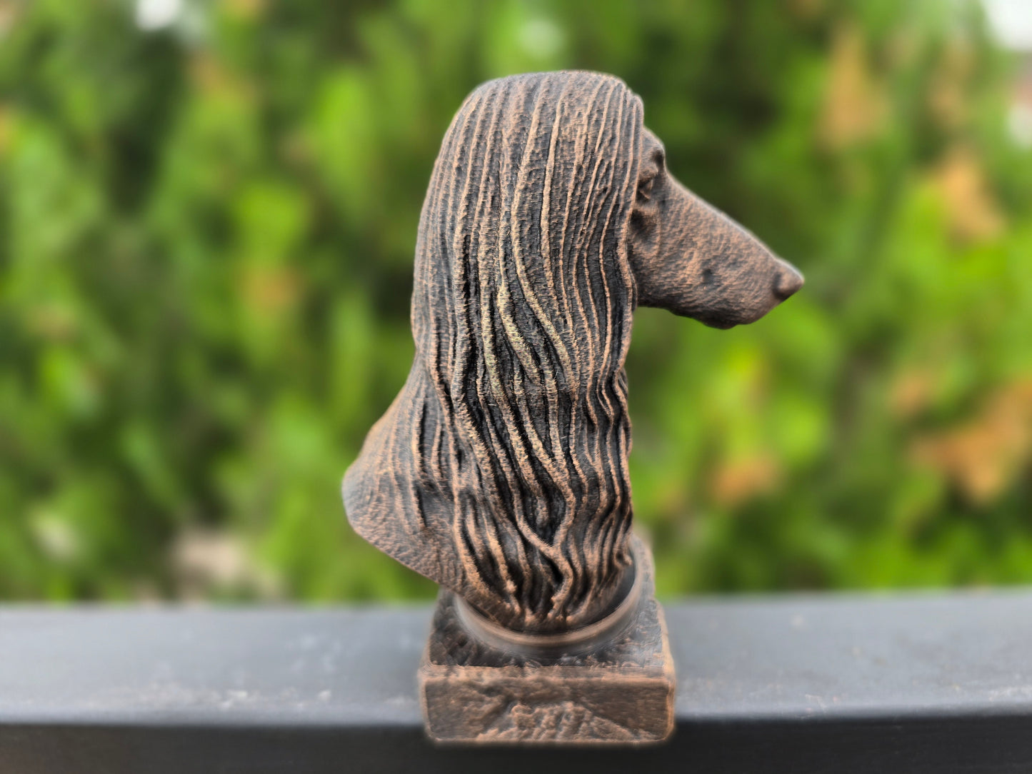 Afghan Hound Bust