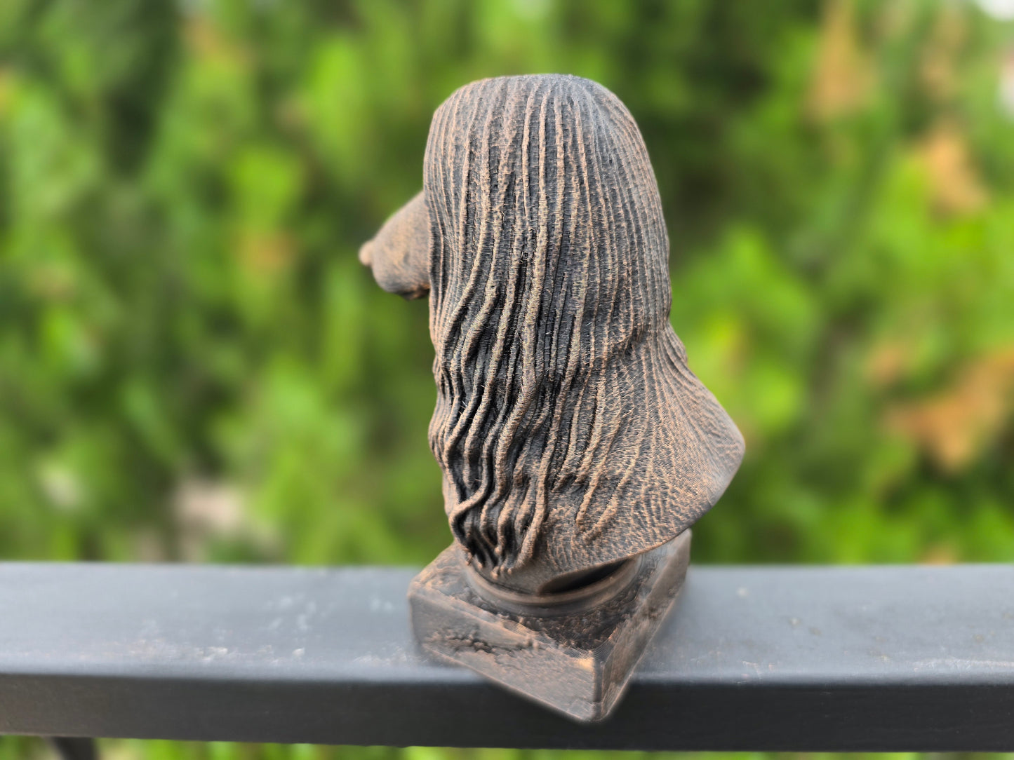 Afghan Hound Bust