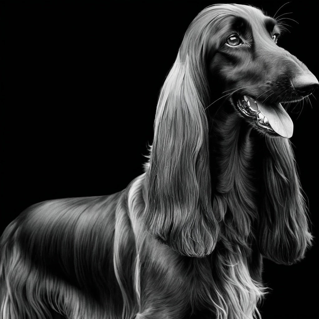 Afghan Hound Hueforge