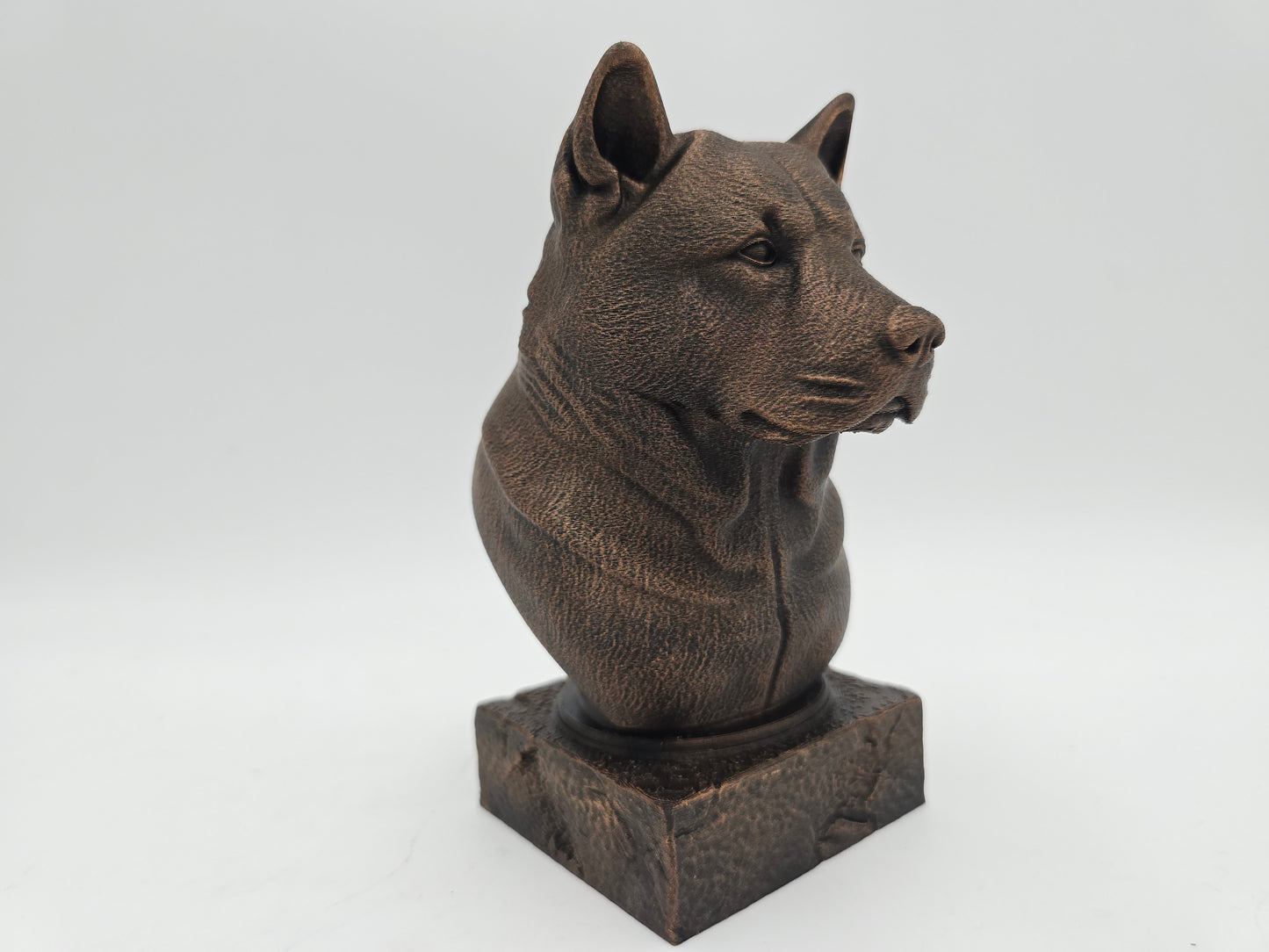 Akita Bust