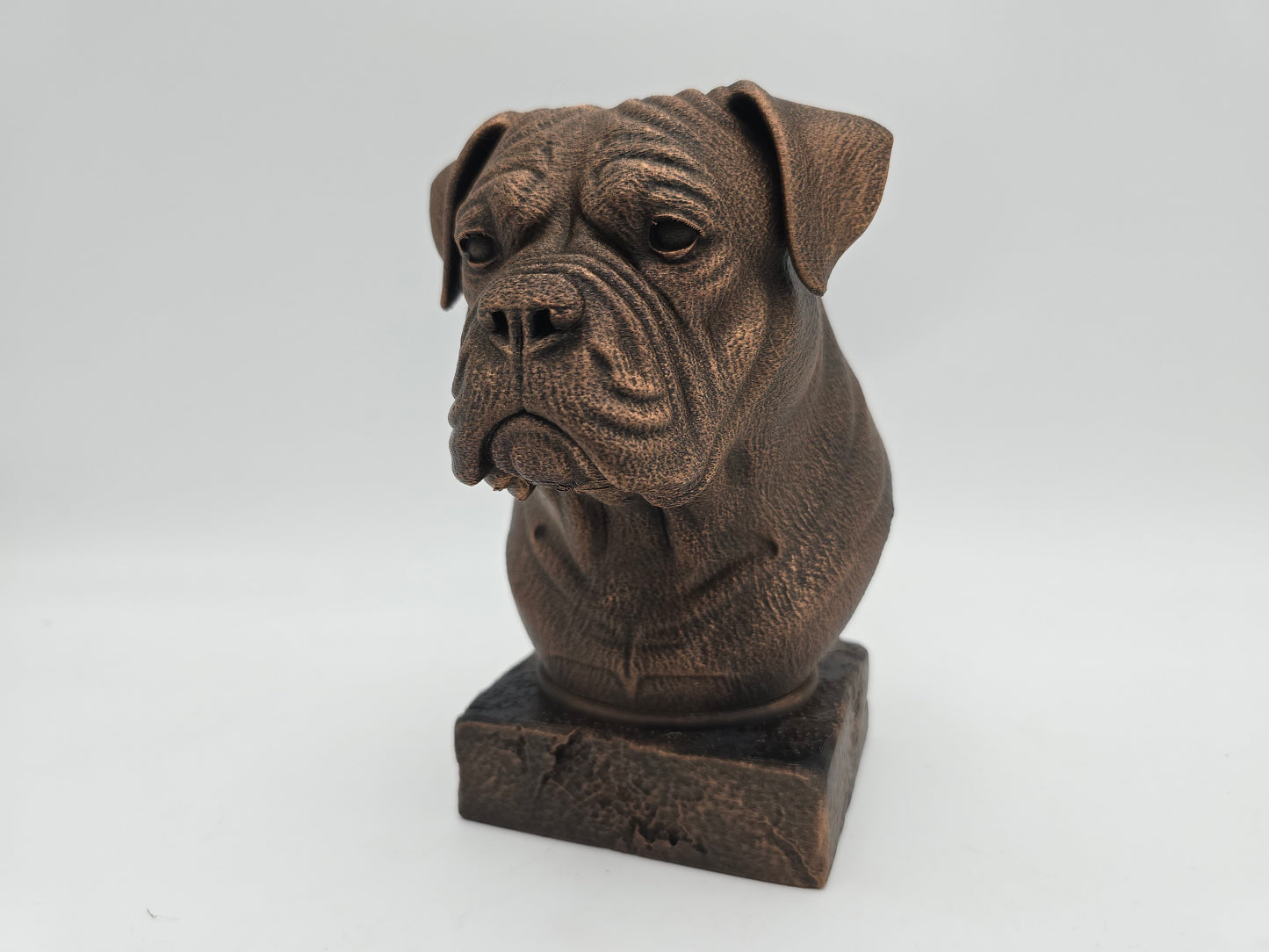 American Bulldog Bust
