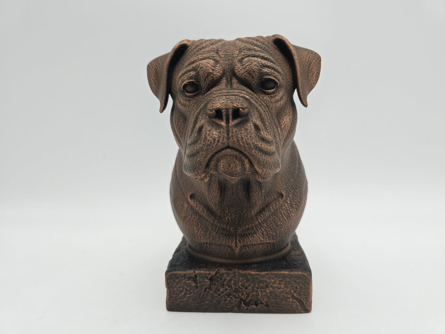 American Bulldog Bust