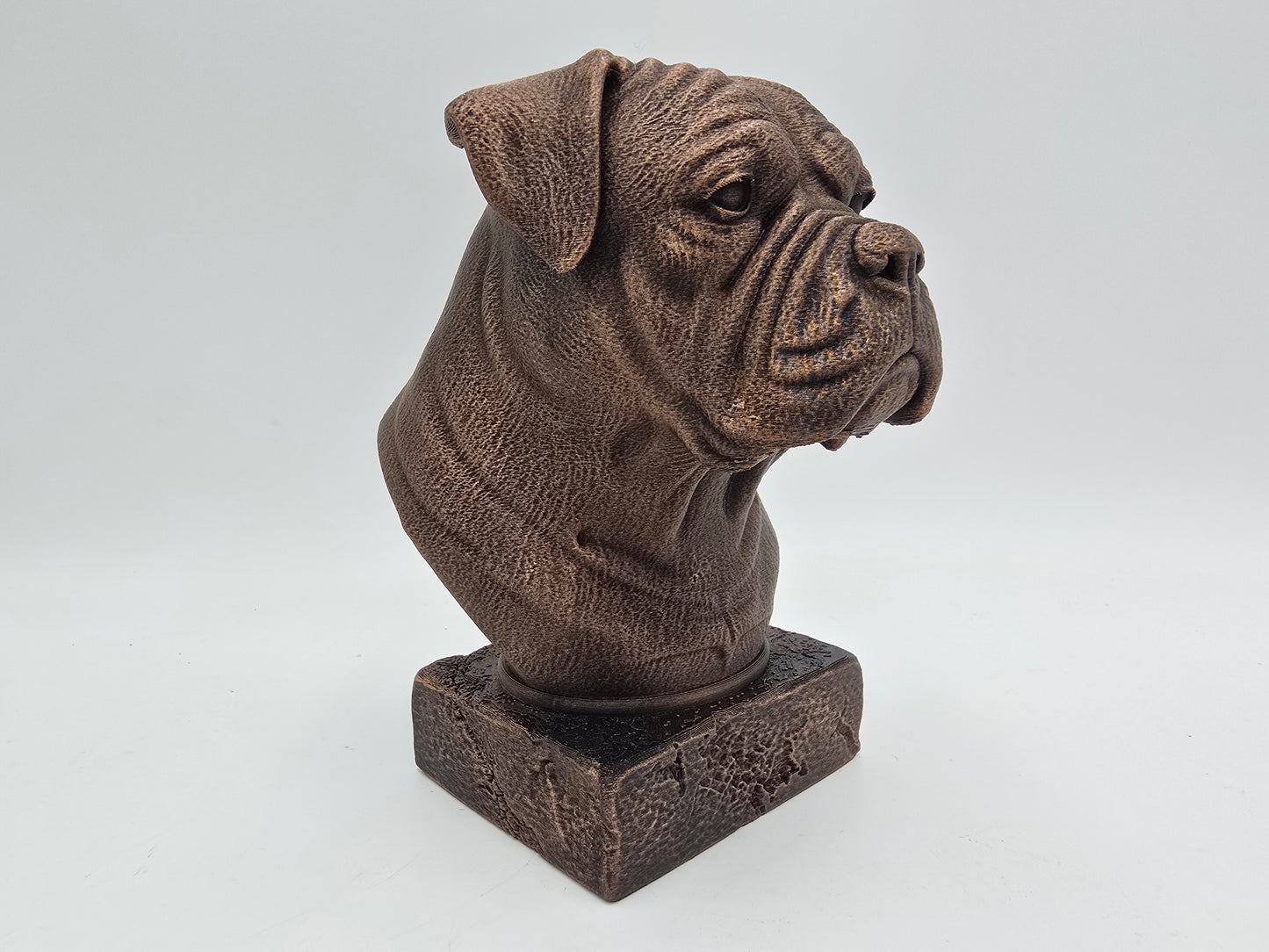 American Bulldog Bust