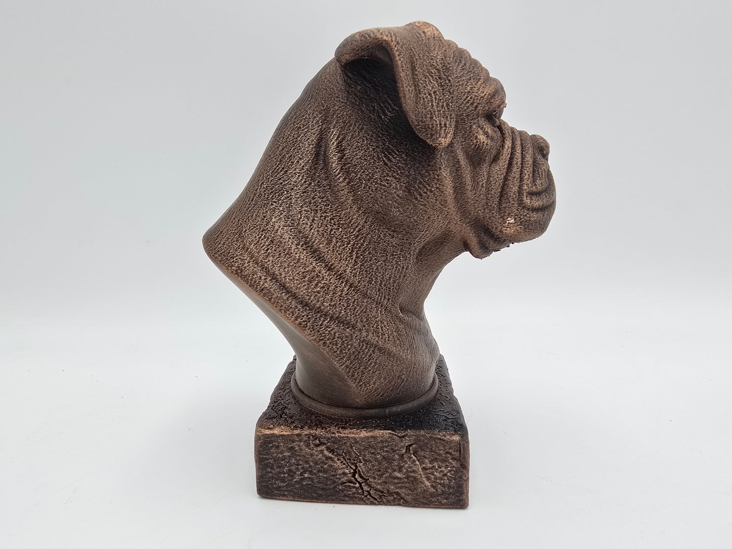 American Bulldog Bust