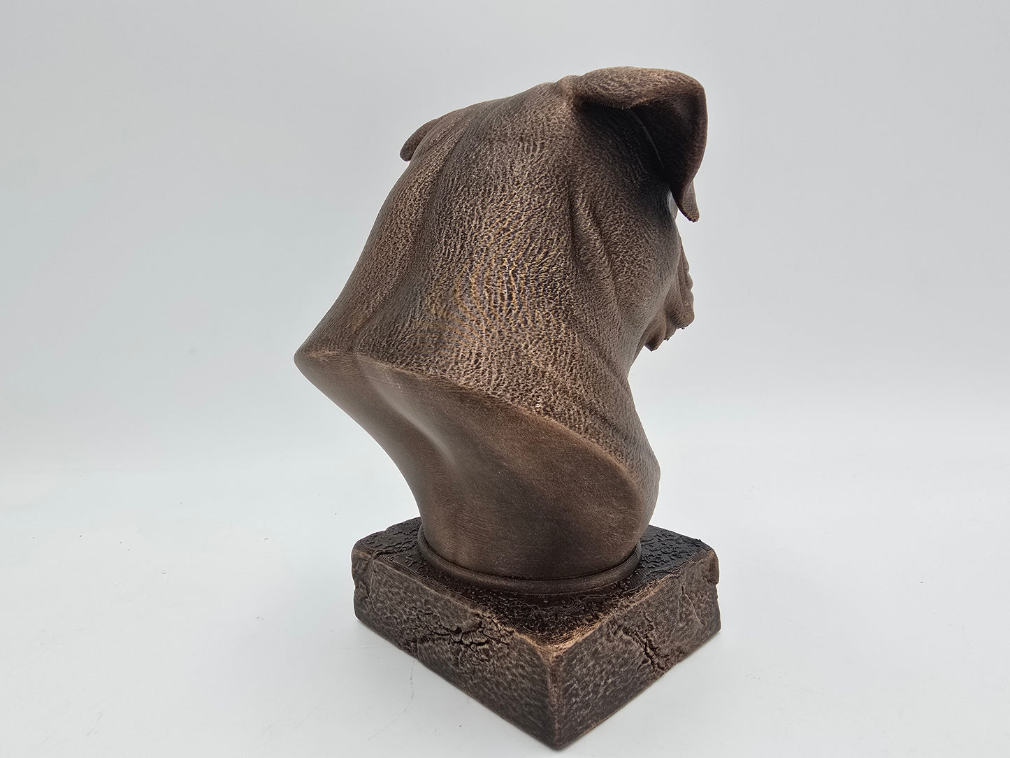 American Bulldog Bust