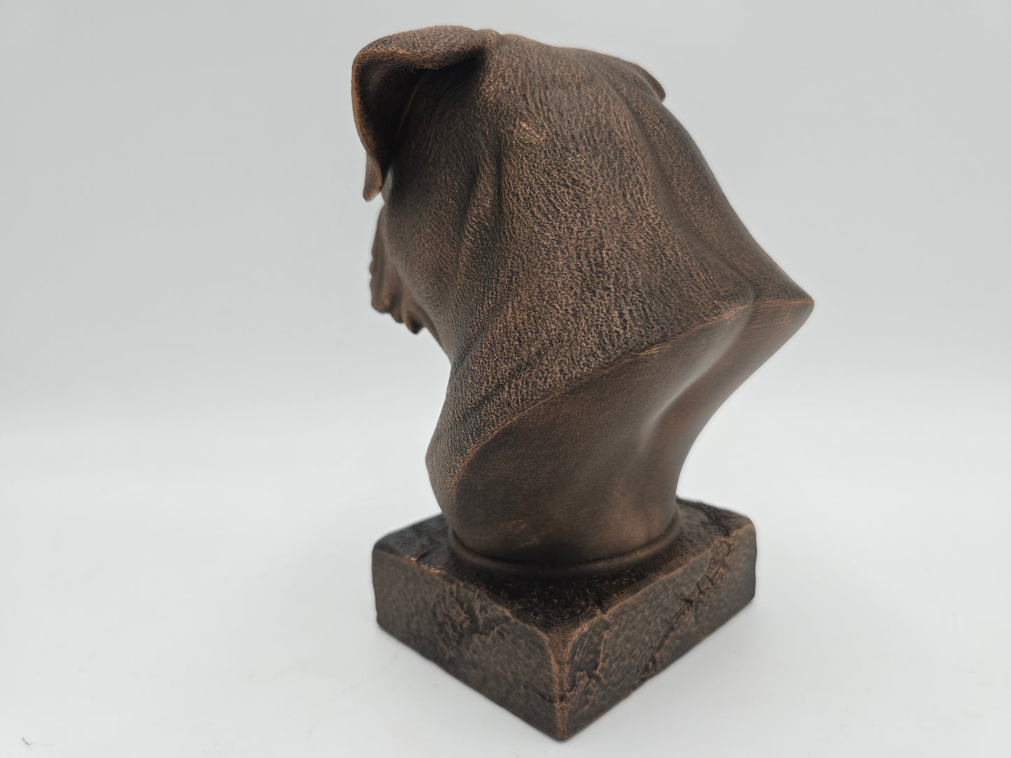 American Bulldog Bust