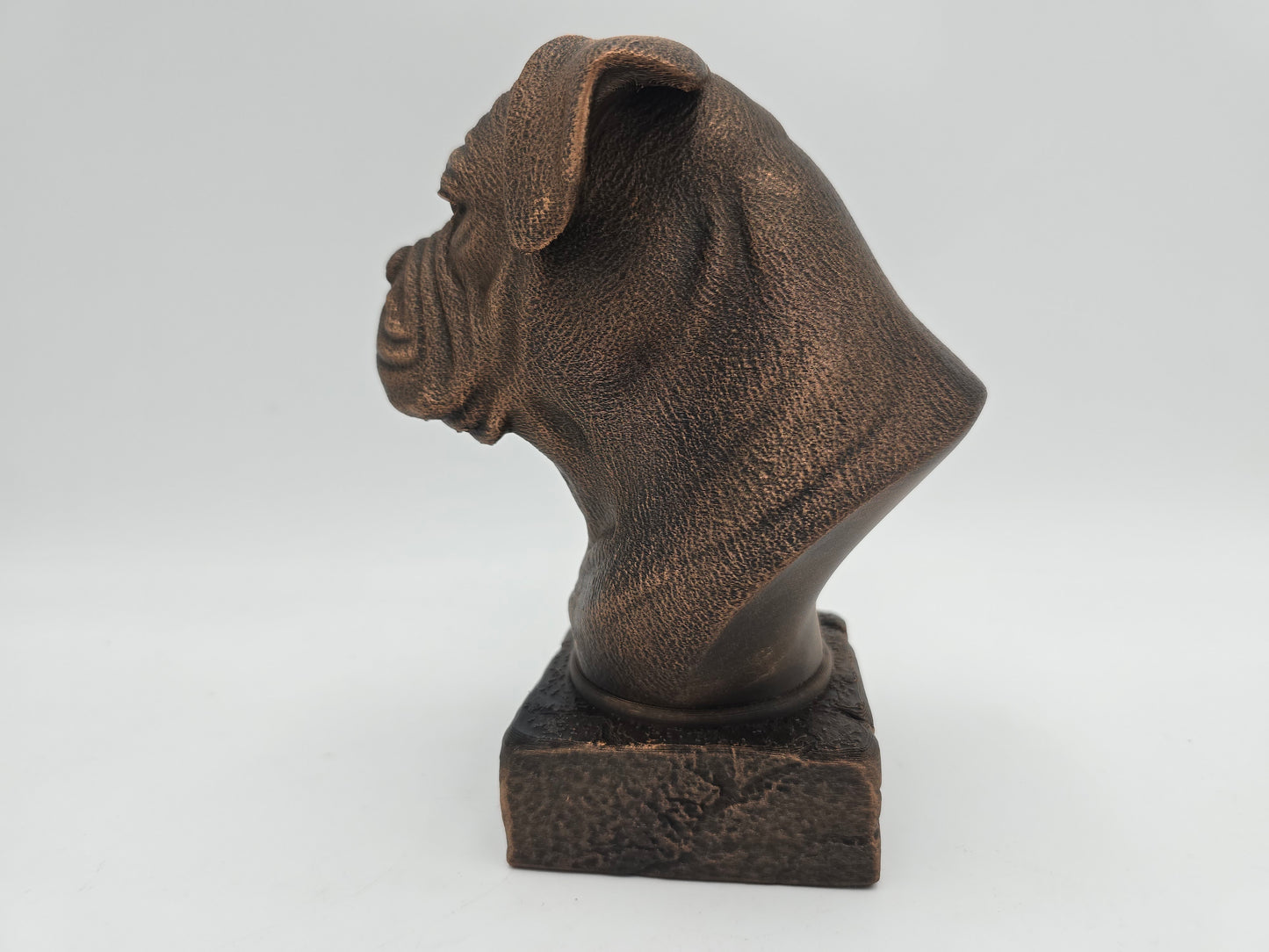 American Bulldog Bust