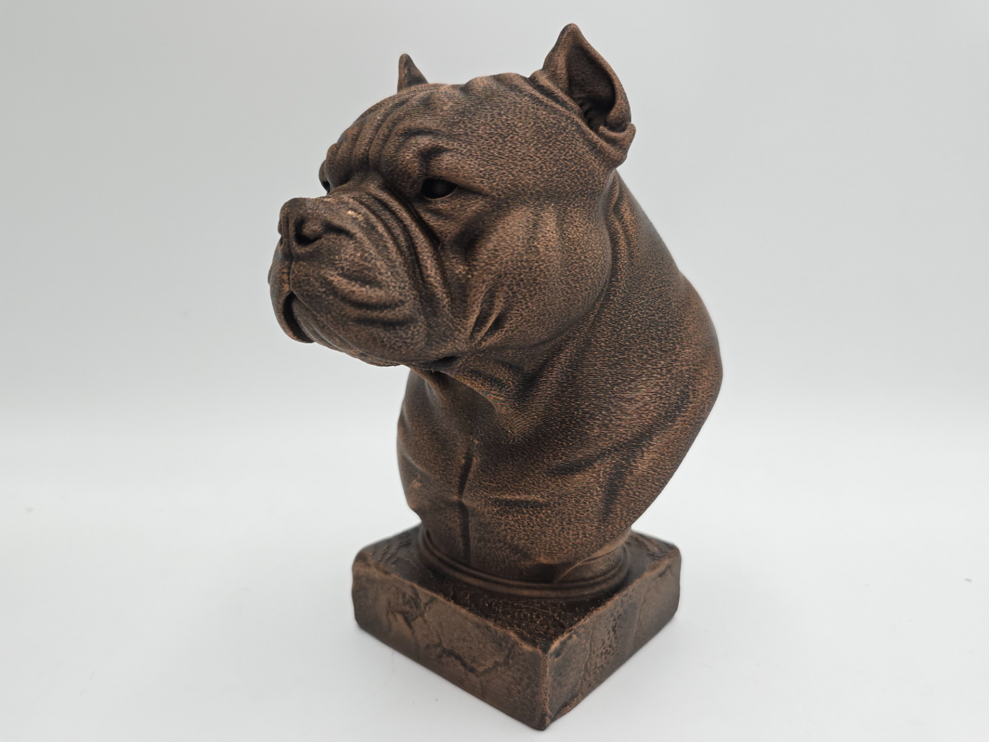 American Bulldog Bust